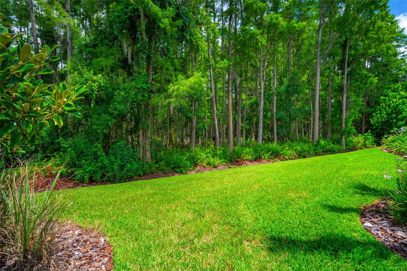 Image 88 of 97 For 1507 Amarone Place