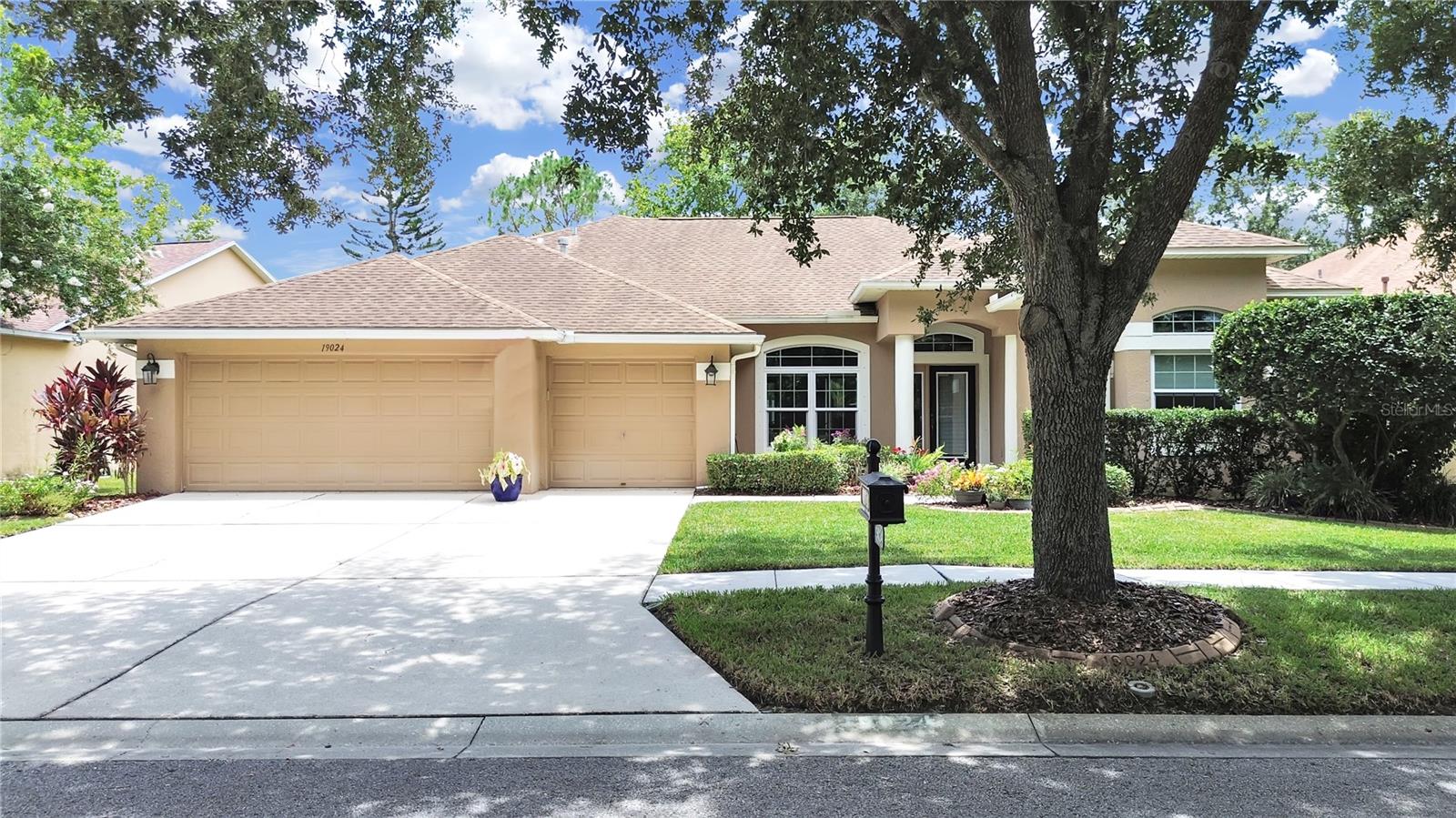 Details for 19024 Dove Creek Drive, TAMPA, FL 33647