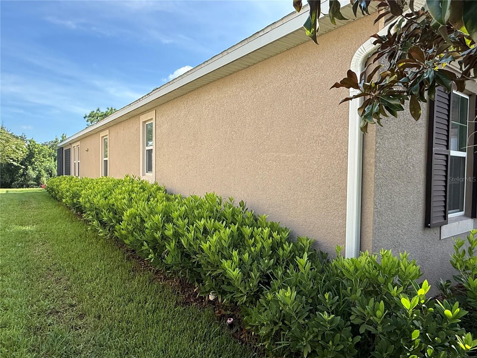 Image 3 of 29 For 33193 Shadow Branch Lane