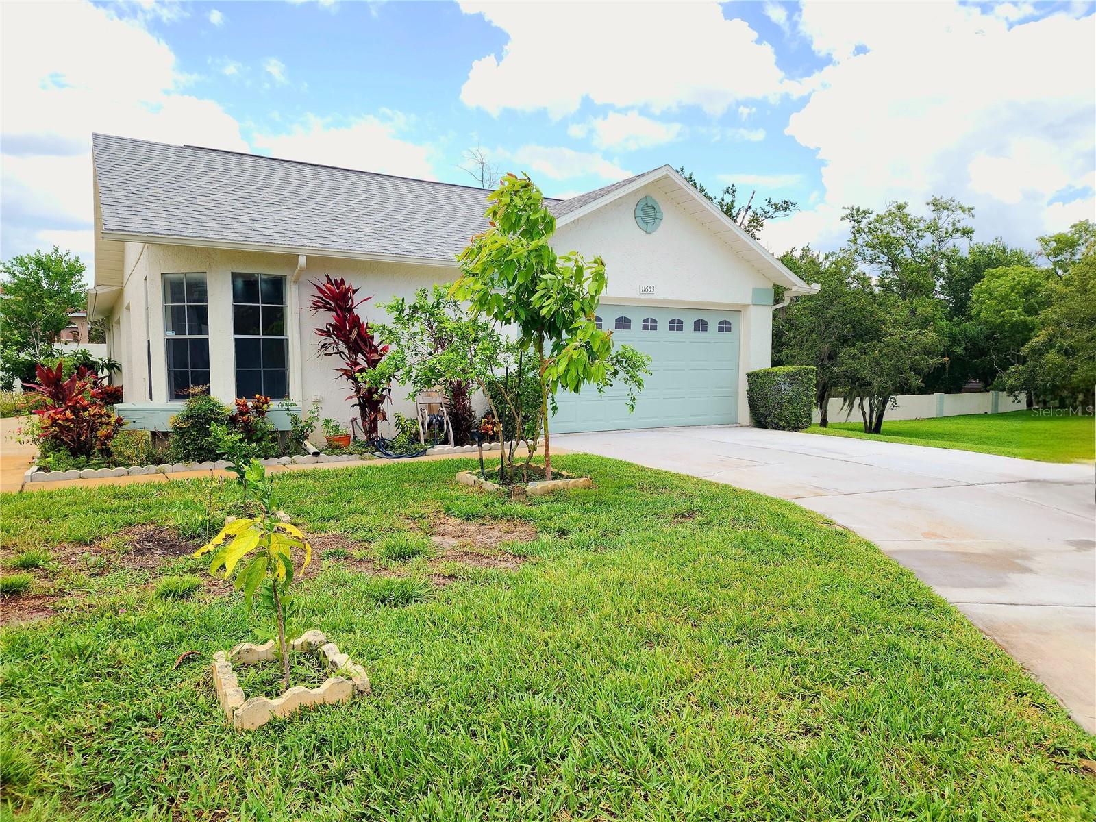 Details for 11653 Orleans Lane, PORT RICHEY, FL 34668