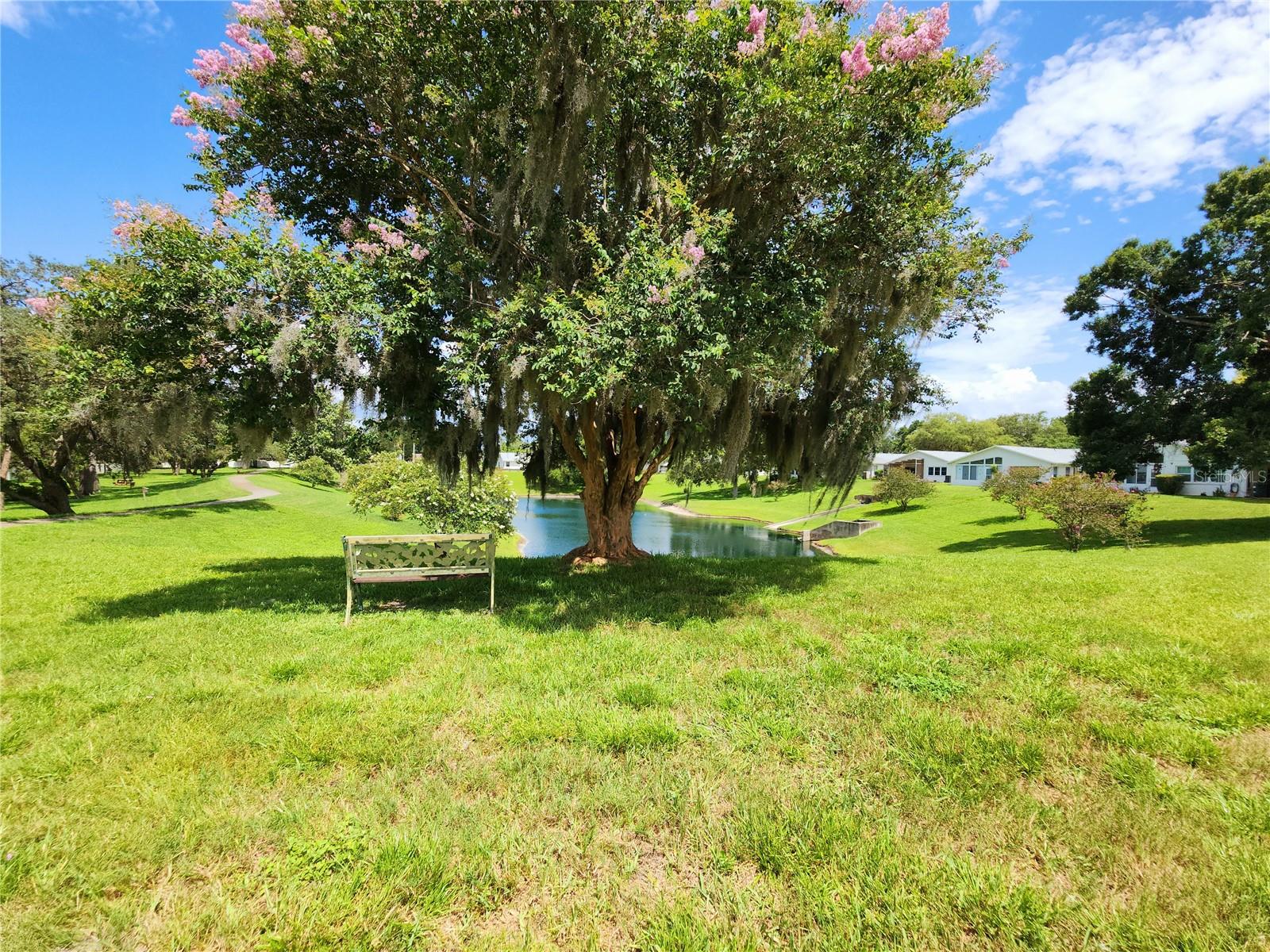 Listing photo id 36 for 11653 Orleans Lane