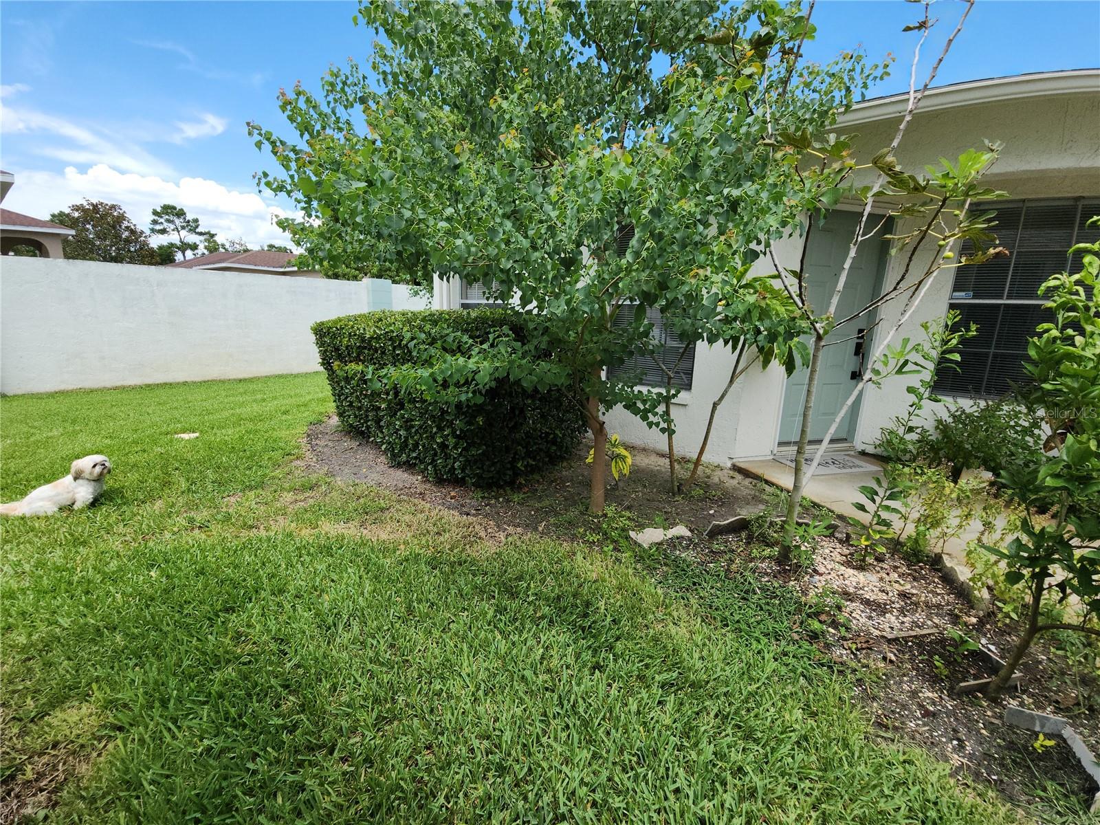 Listing photo id 38 for 11653 Orleans Lane