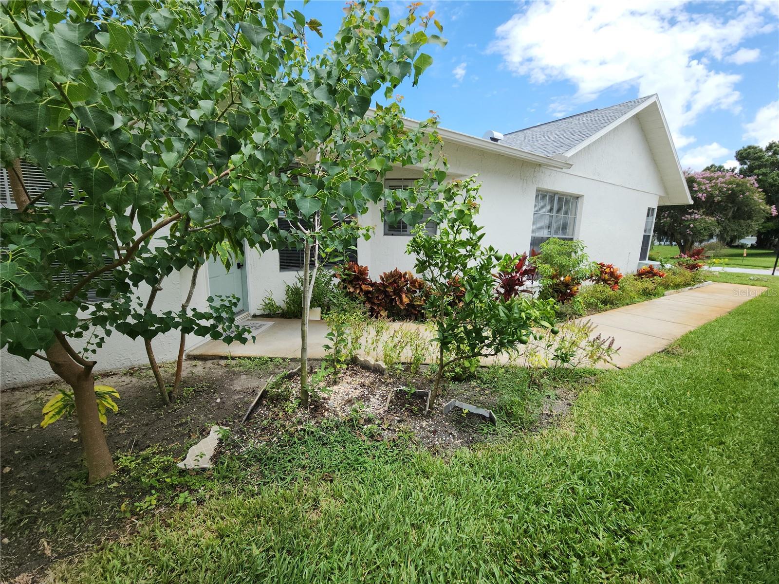 Listing photo id 39 for 11653 Orleans Lane