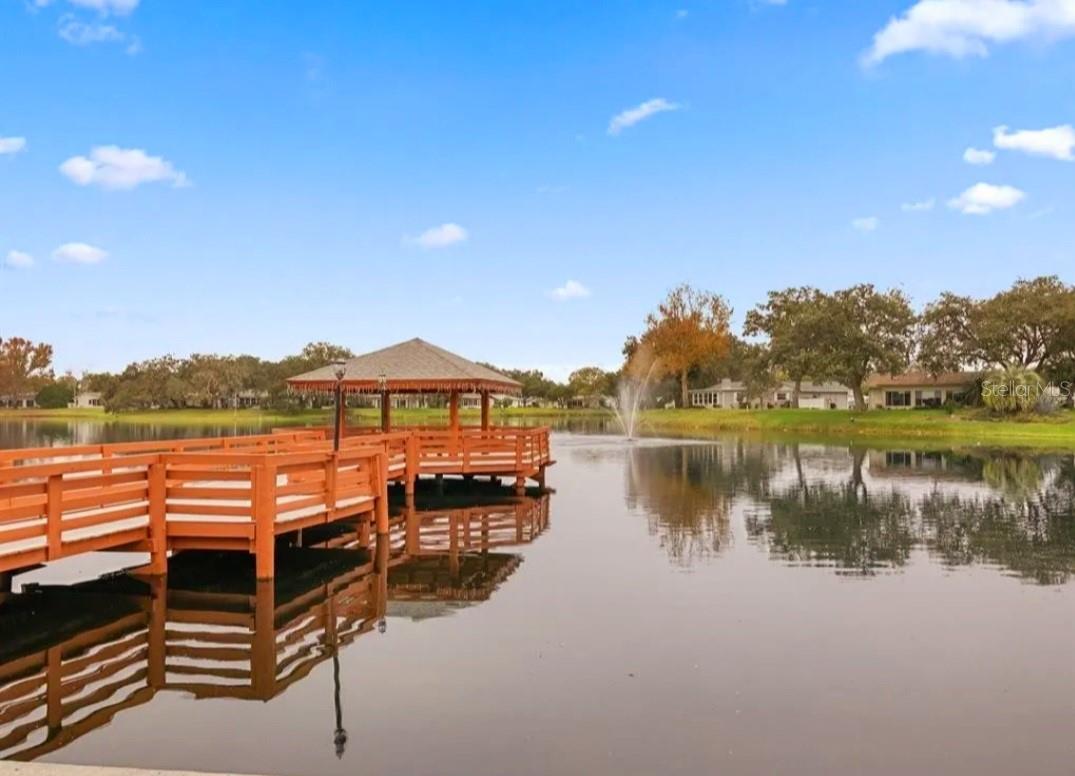 Listing photo id 42 for 11653 Orleans Lane