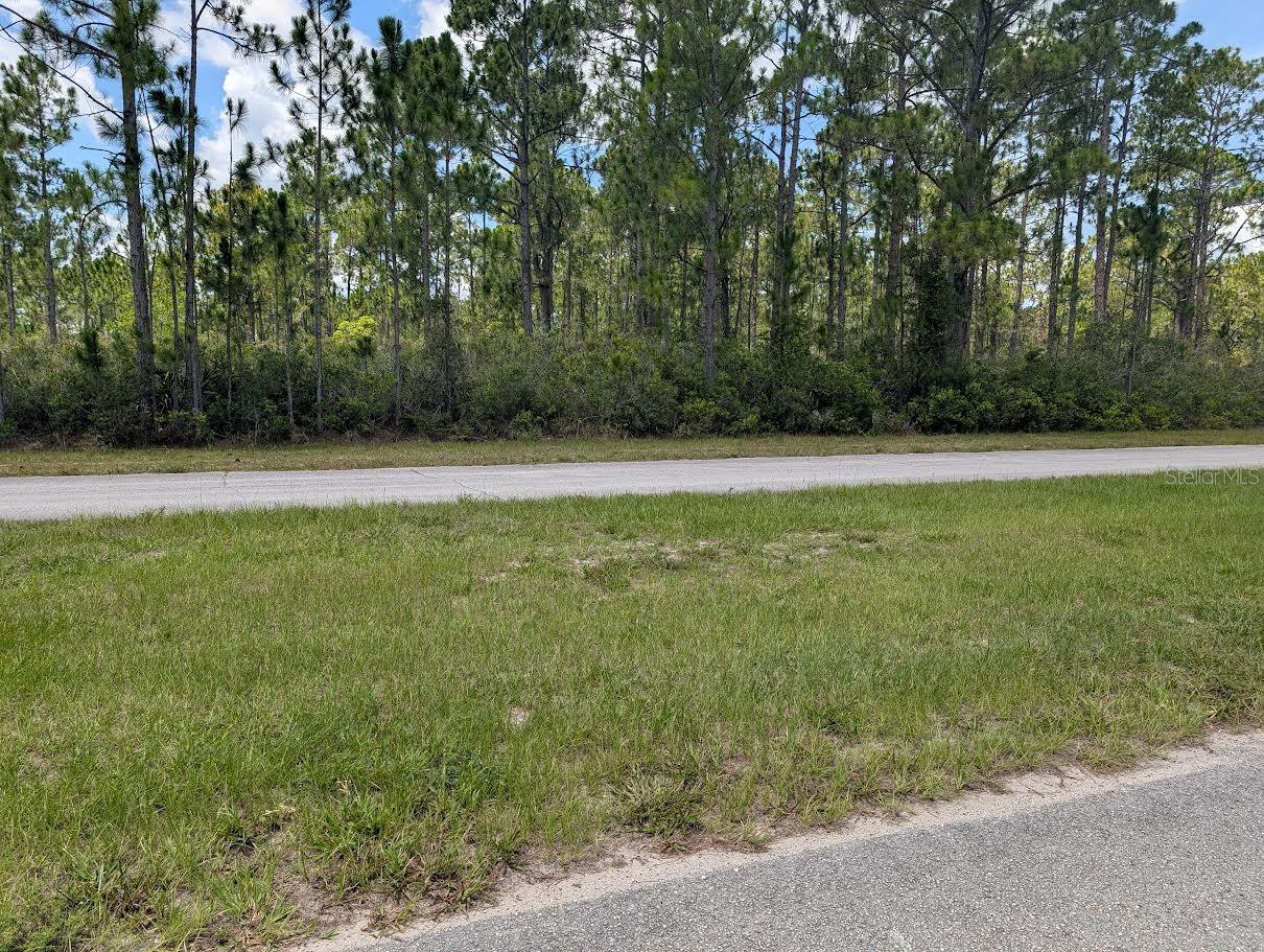 Image 4 of 41 For Deland Avenue
