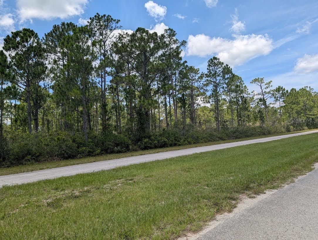 Image 7 of 41 For Deland Avenue