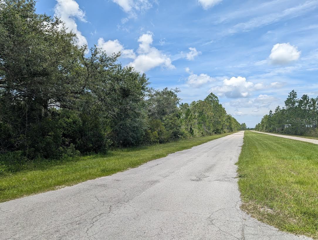 Image 8 of 41 For Deland Avenue