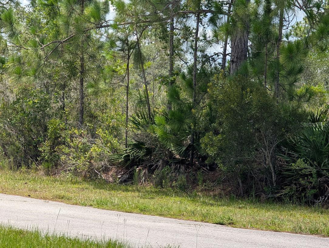 Image 9 of 41 For Deland Avenue