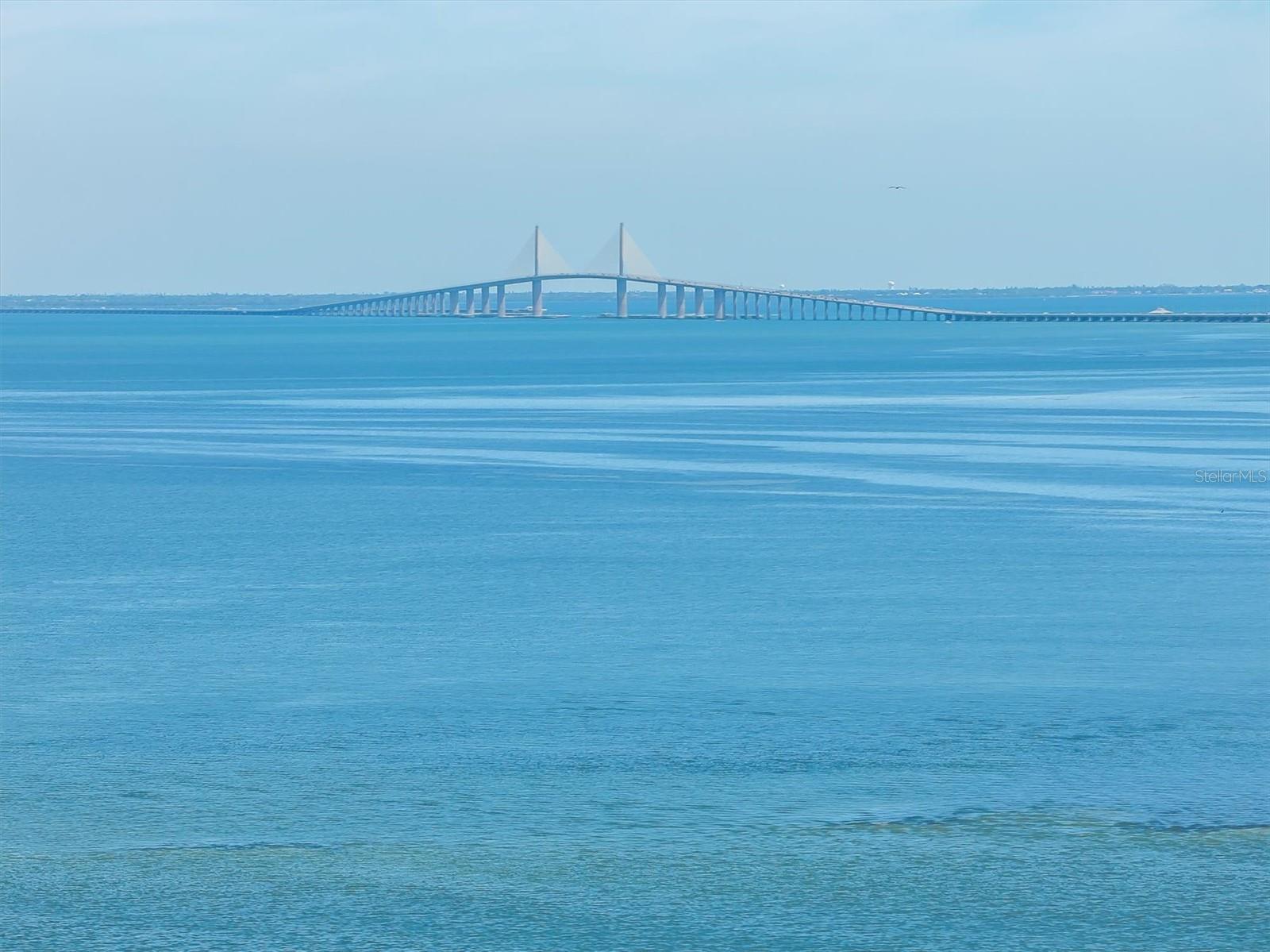 Image 44 of 46 For 7540 Sunshine Skyway Lane S P10