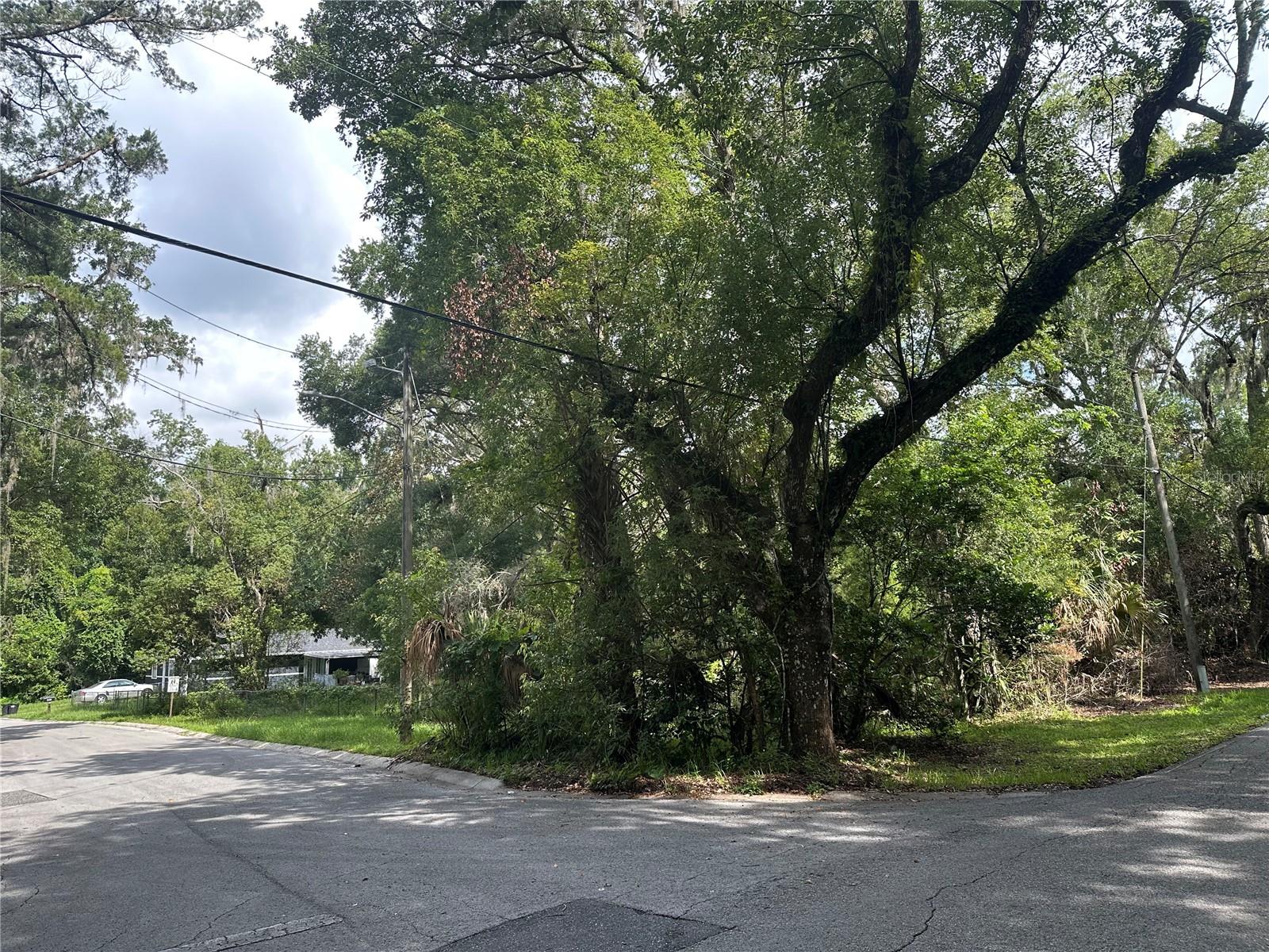 Listing photo id 9 for 610 Iris Street