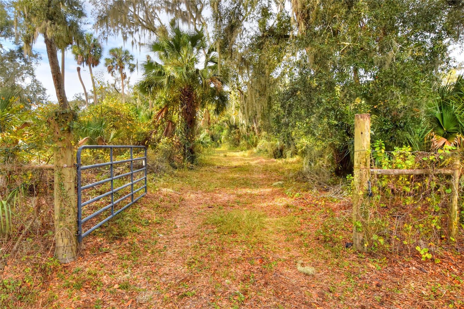 Details for 0 Keysville Road, LITHIA, FL 33547