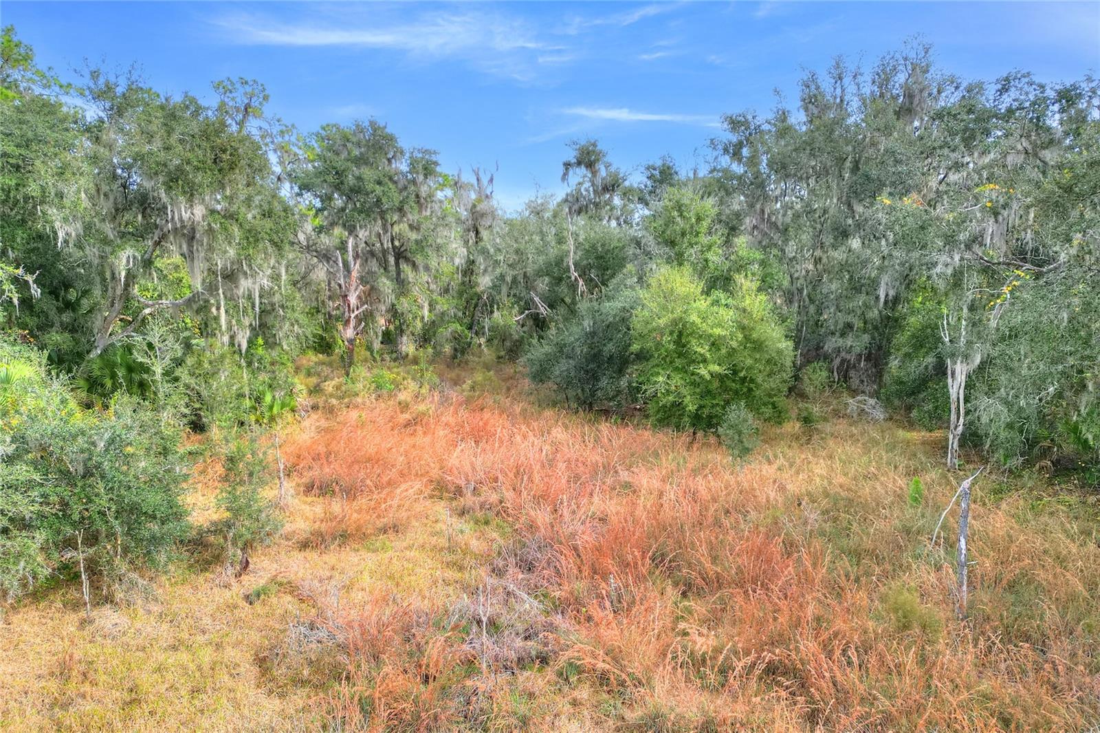 Image 10 of 12 For 0 Keysville Road