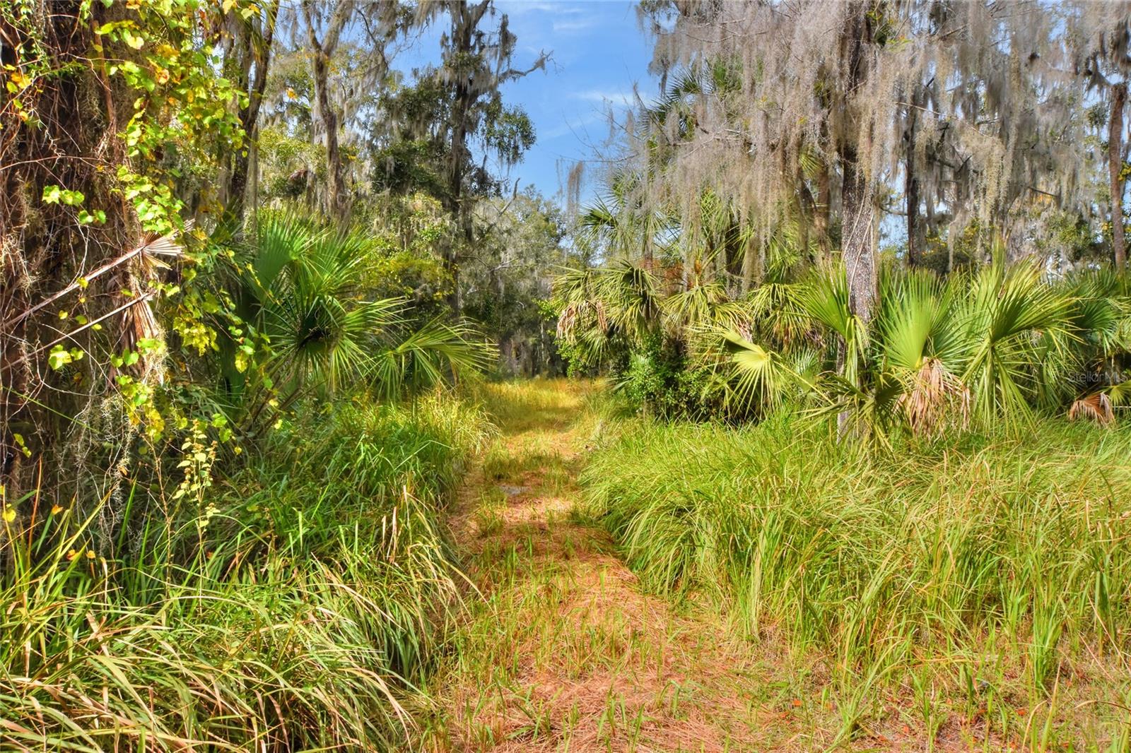 Image 6 of 12 For 0 Keysville Road
