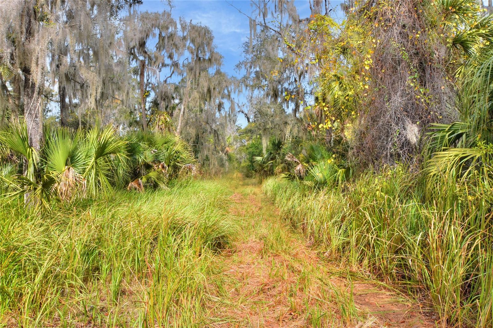 Image 7 of 12 For 0 Keysville Road