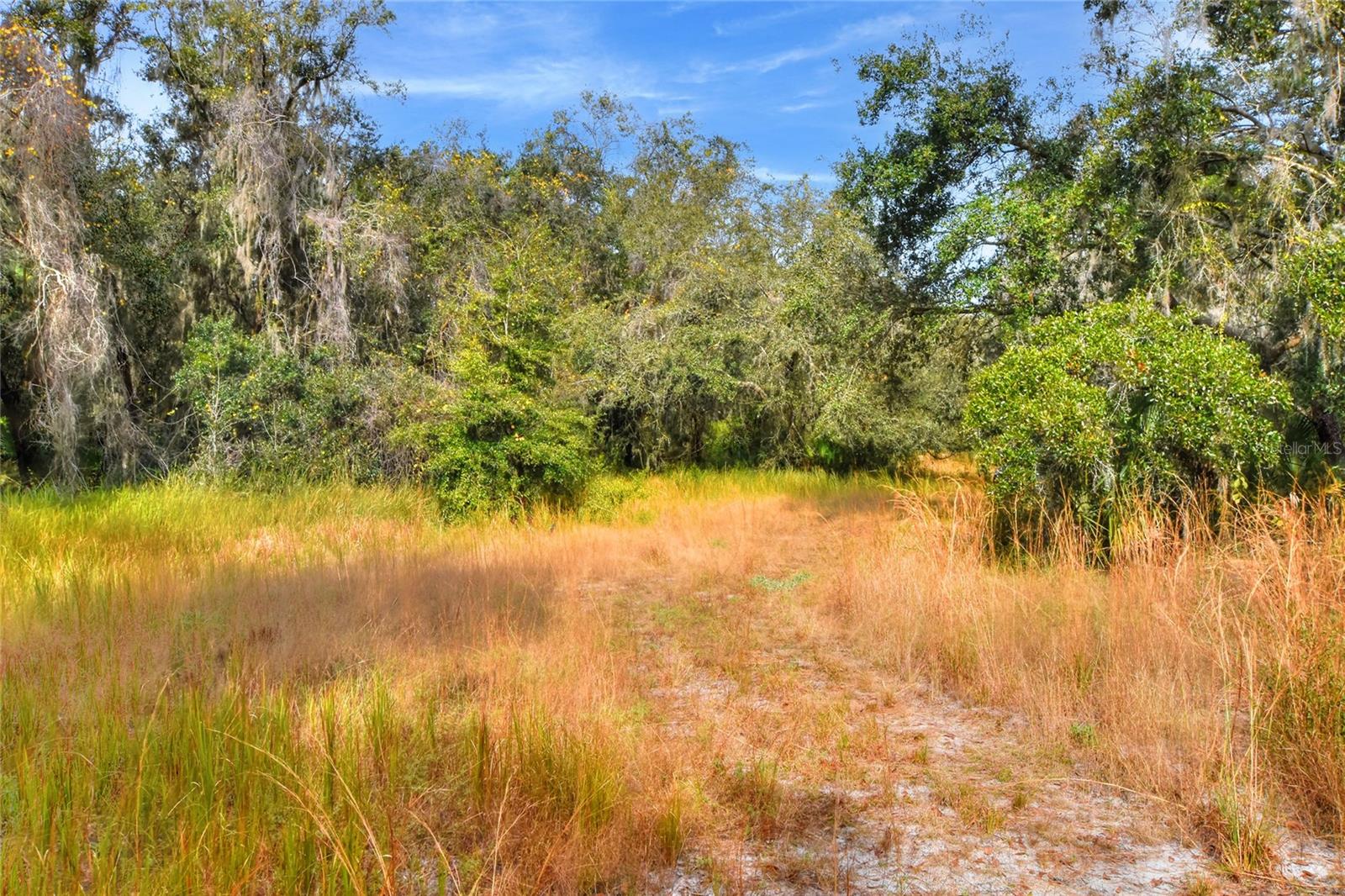 Image 8 of 12 For 0 Keysville Road