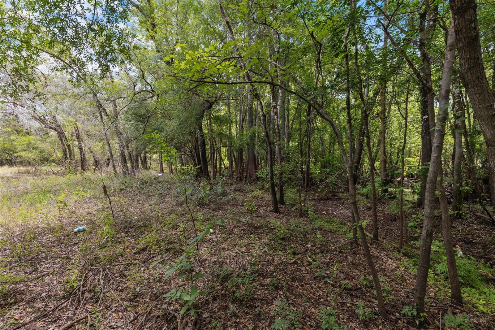 Details for 8198 Shasta Street, WEBSTER, FL 33597