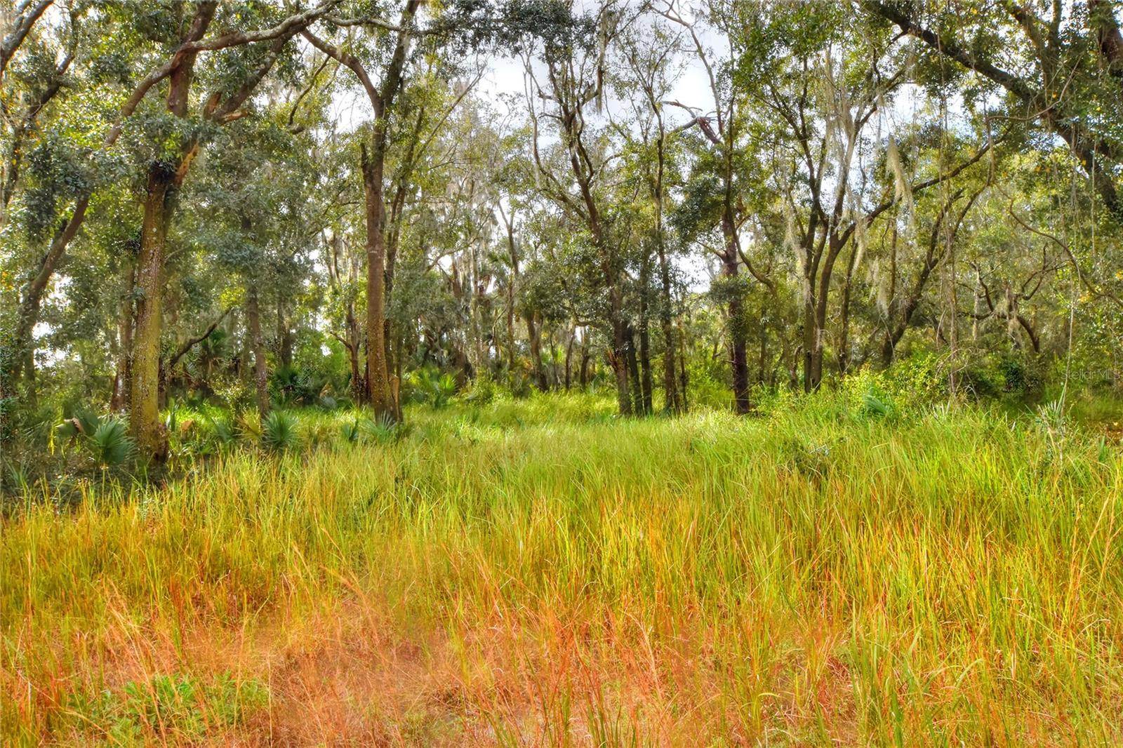 Details for 0 Keysville Road, LITHIA, FL 33547