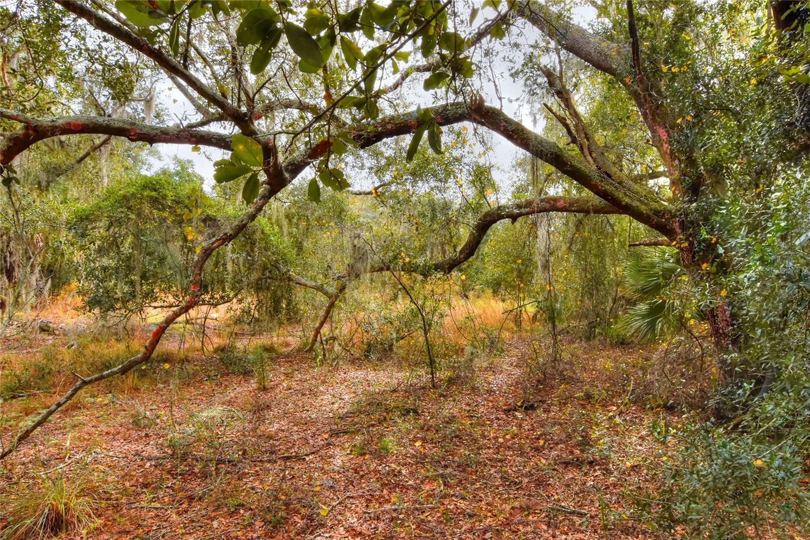 Details for 0 Keysville Road, LITHIA, FL 33547