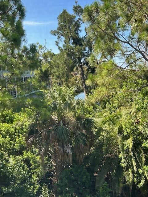 Image 29 of 42 For 9810 Indian Key Trail 85