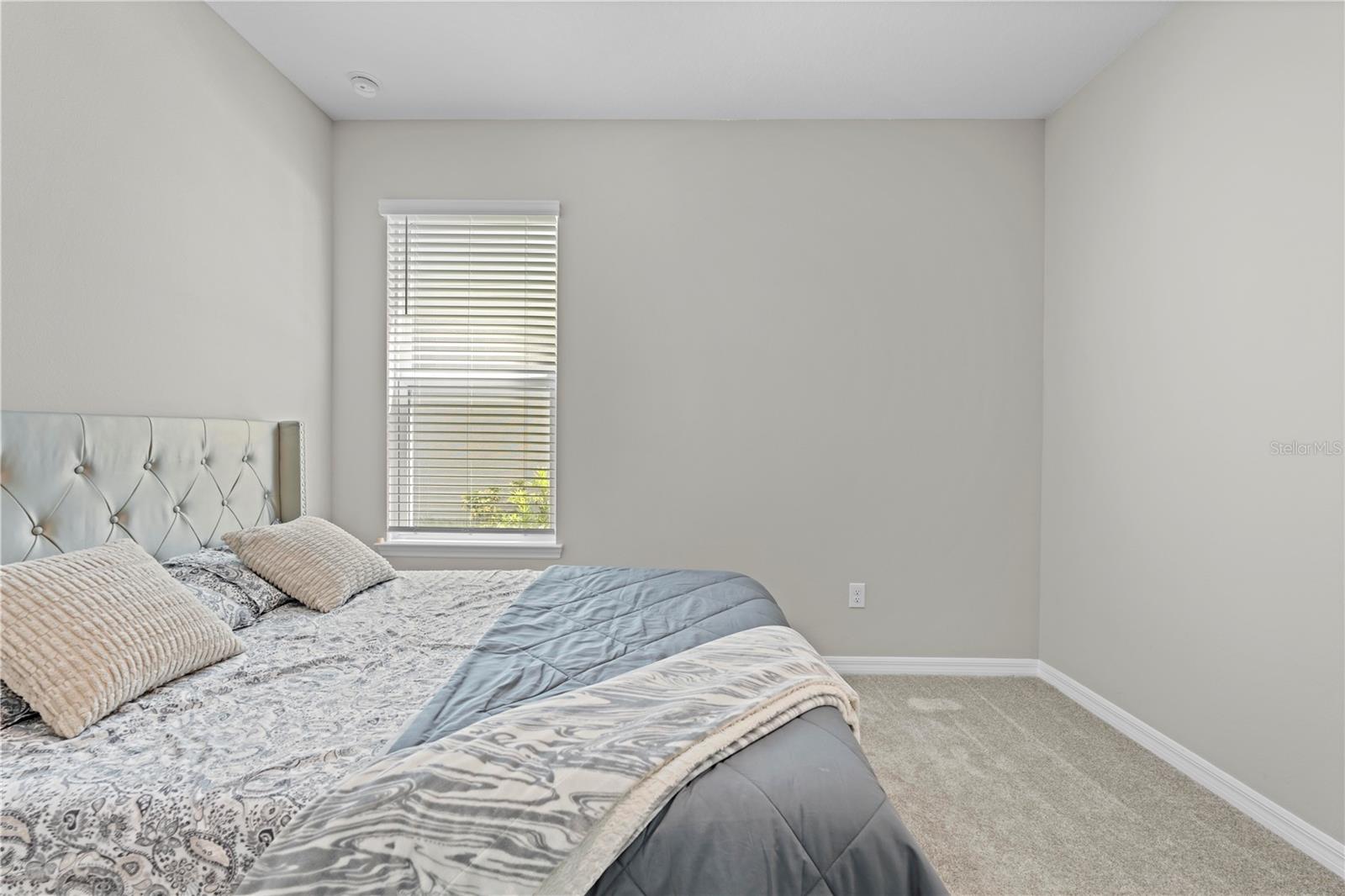 Listing photo id 45 for 2347 Overfalls Place