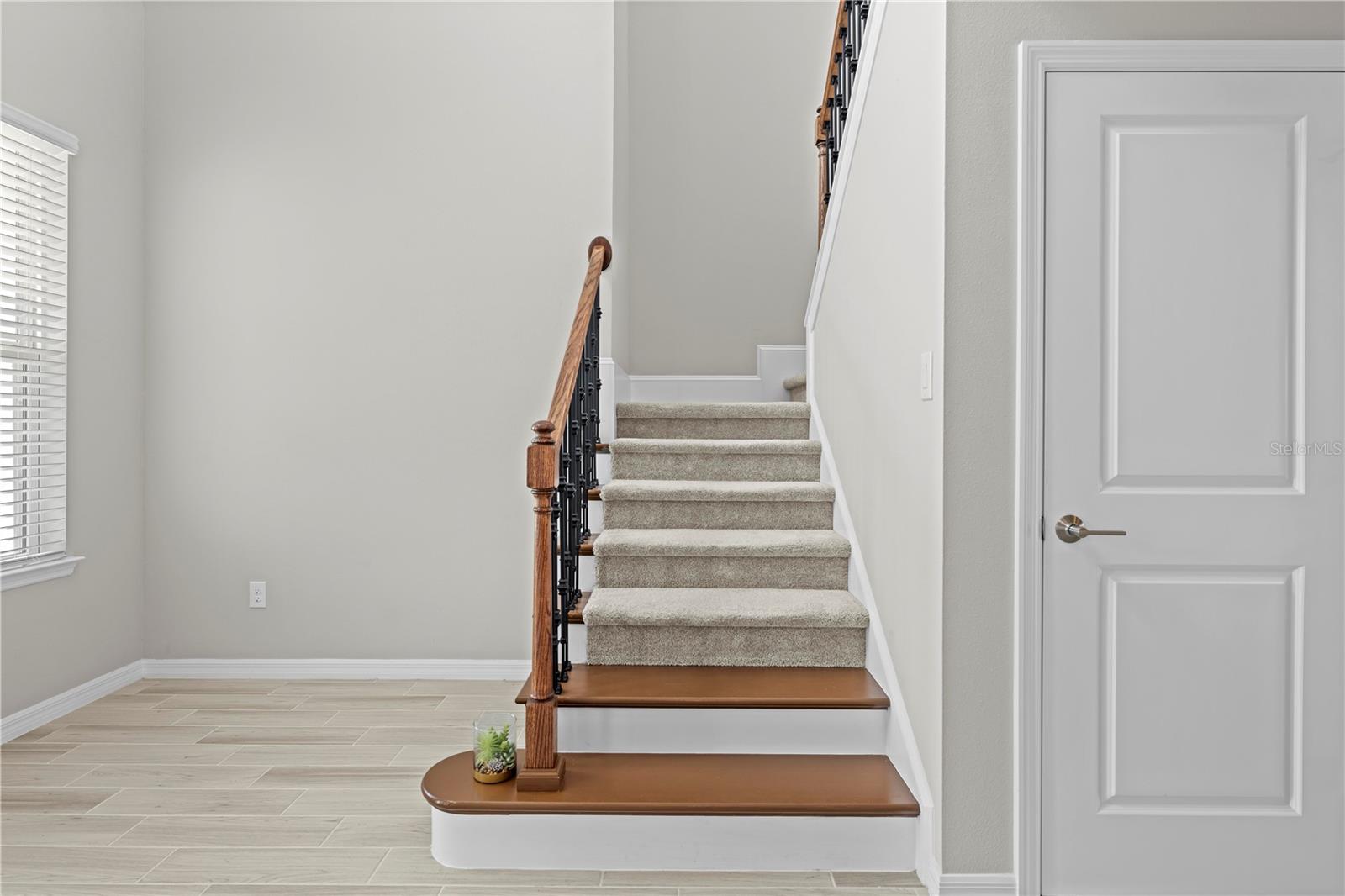 Listing photo id 52 for 2347 Overfalls Place
