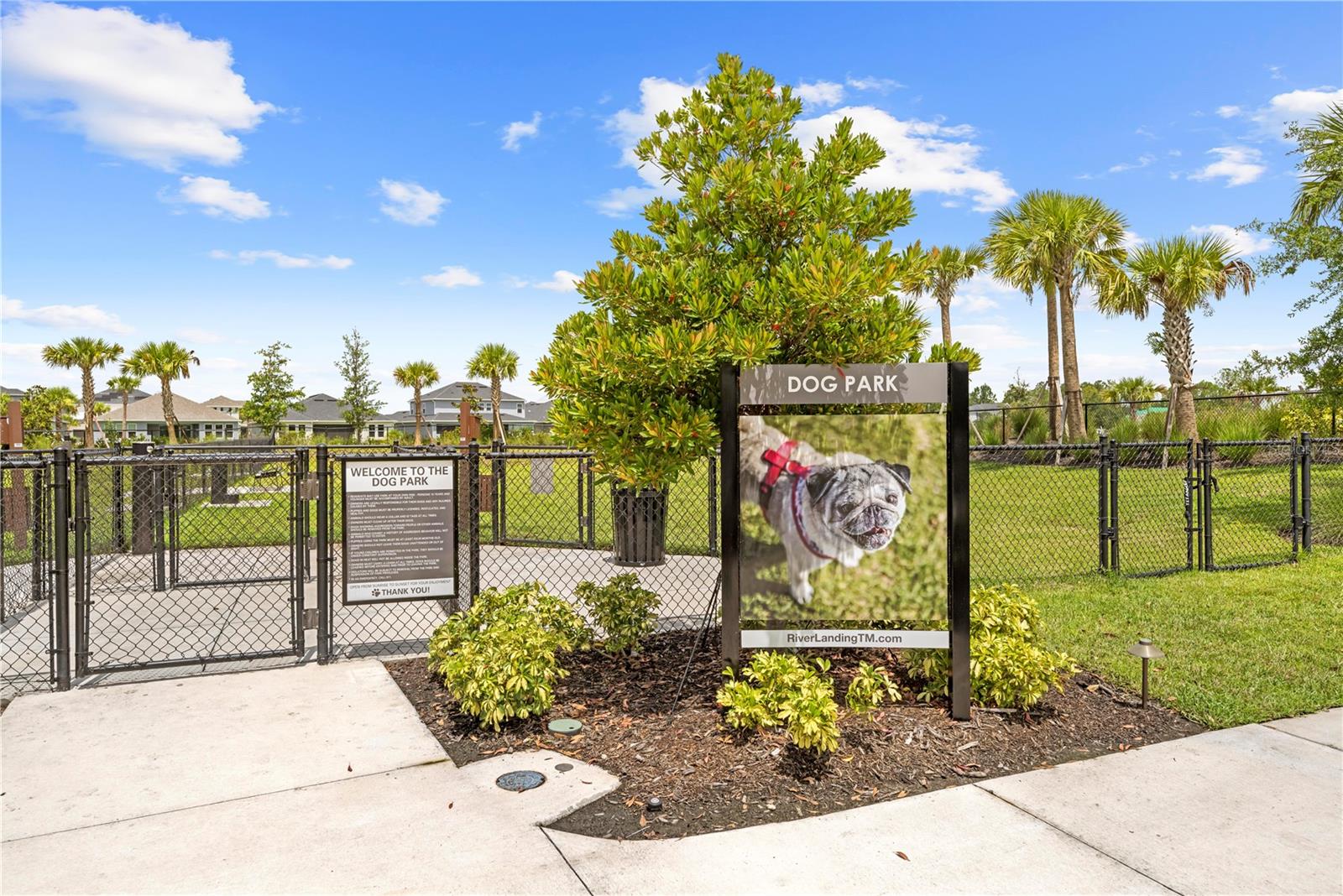 Listing photo id 91 for 2347 Overfalls Place