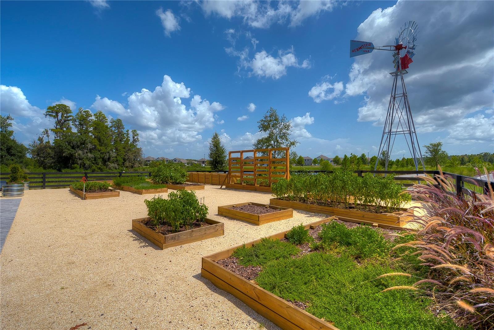Listing photo id 47 for 10577 Calluna Drive