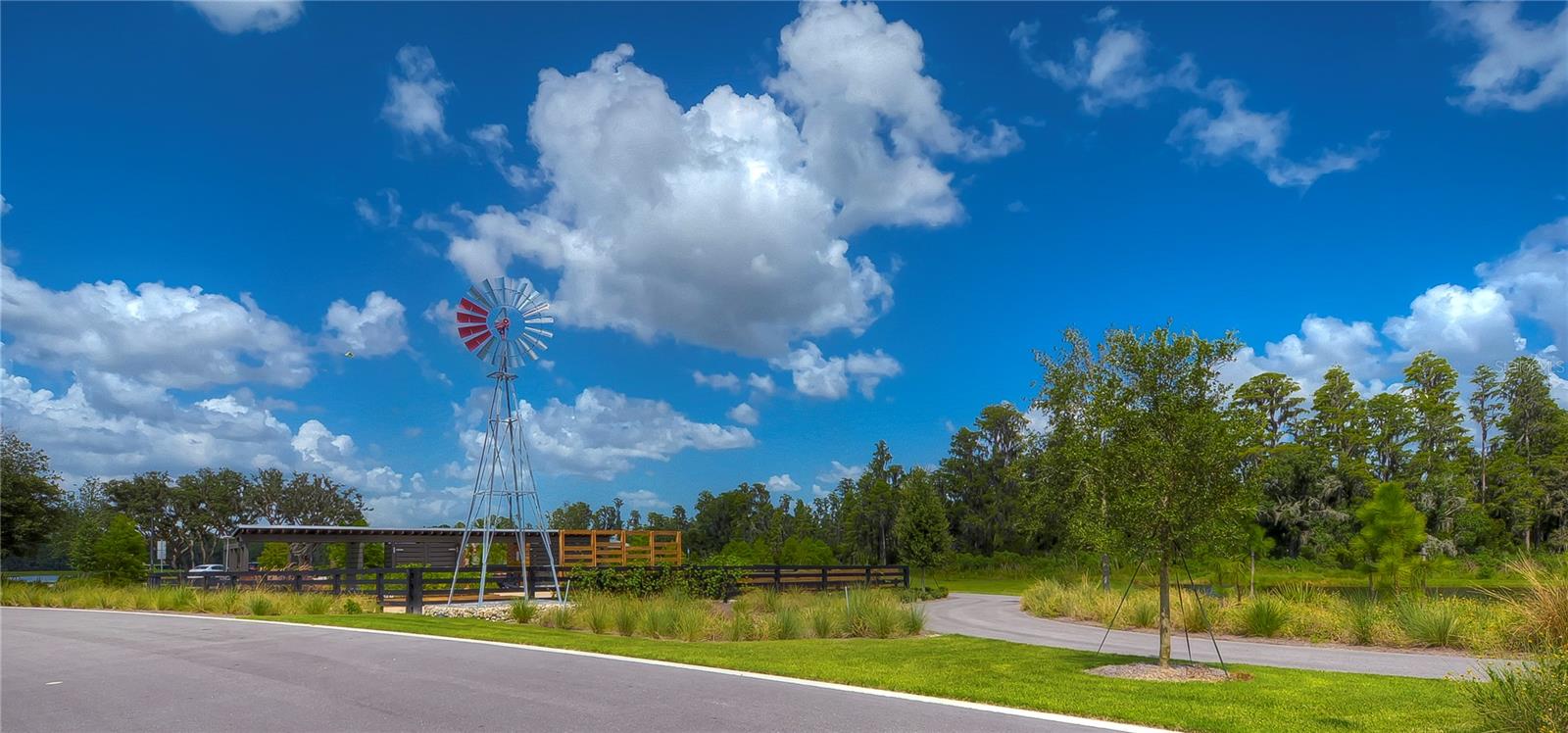 Listing photo id 48 for 10577 Calluna Drive