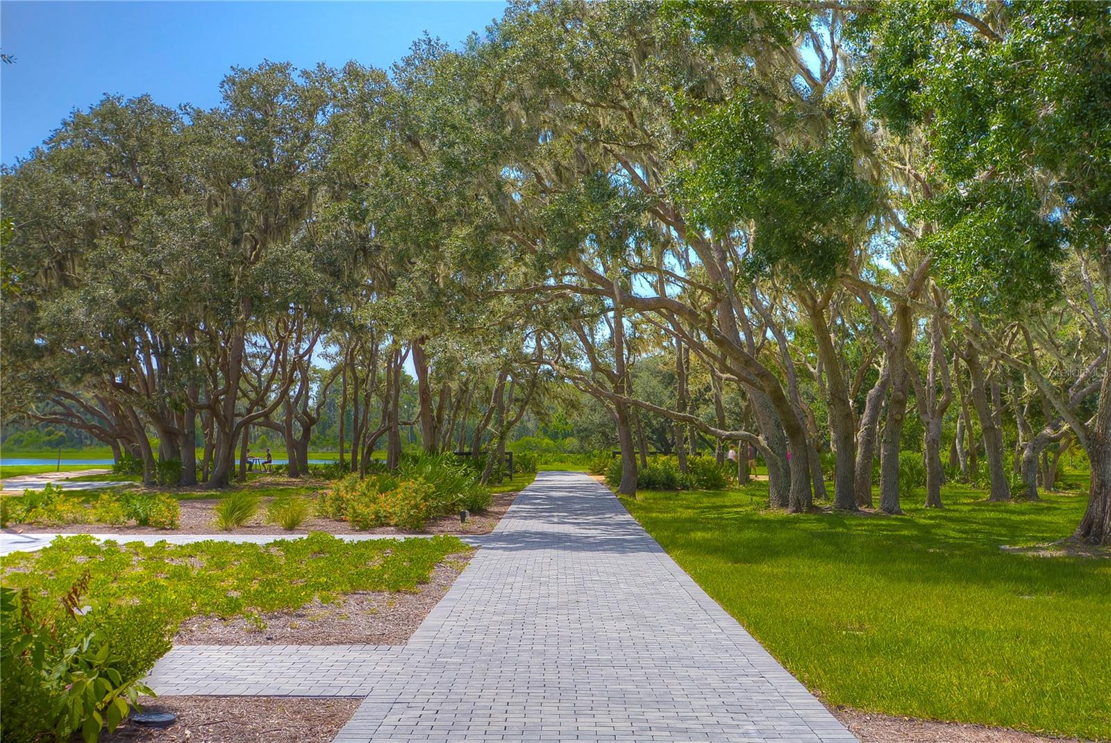 Listing photo id 50 for 10577 Calluna Drive