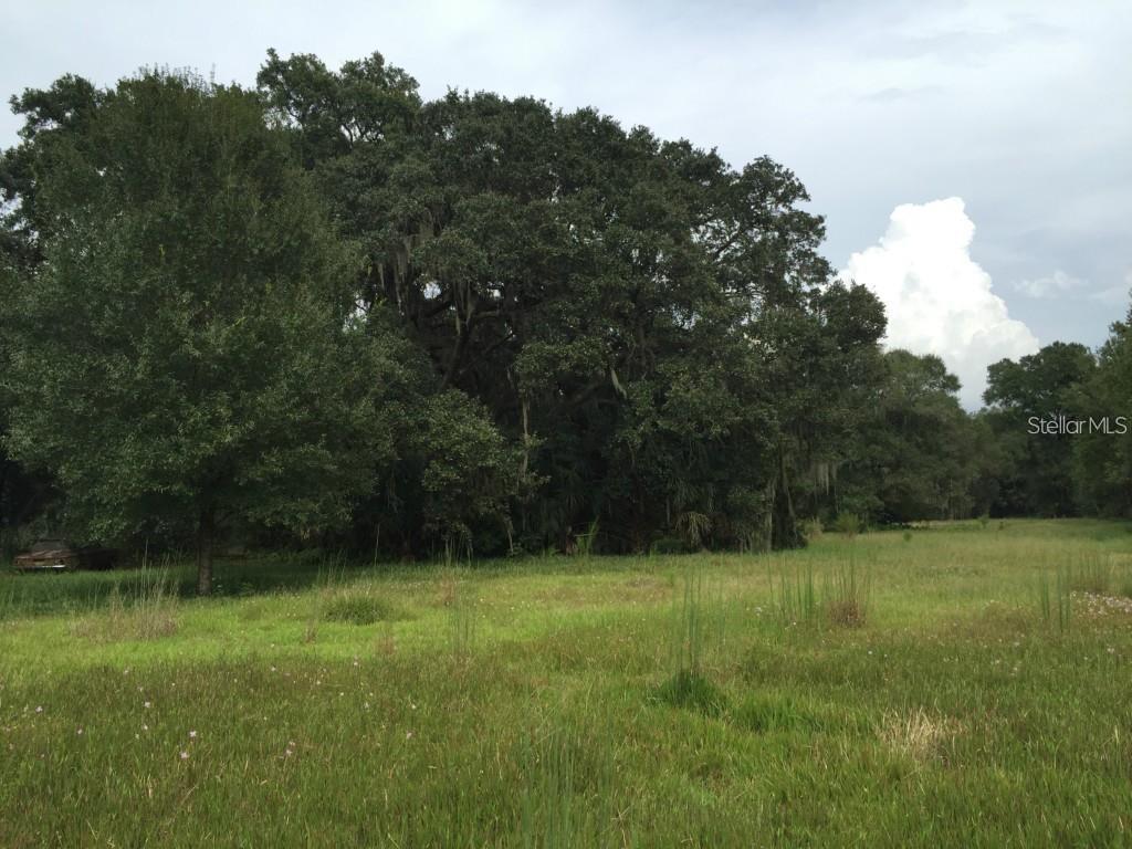 Listing photo id 8 for 6213 Orient Road