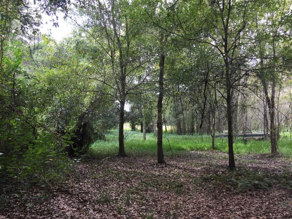 Listing photo id 11 for 6213 Orient Road