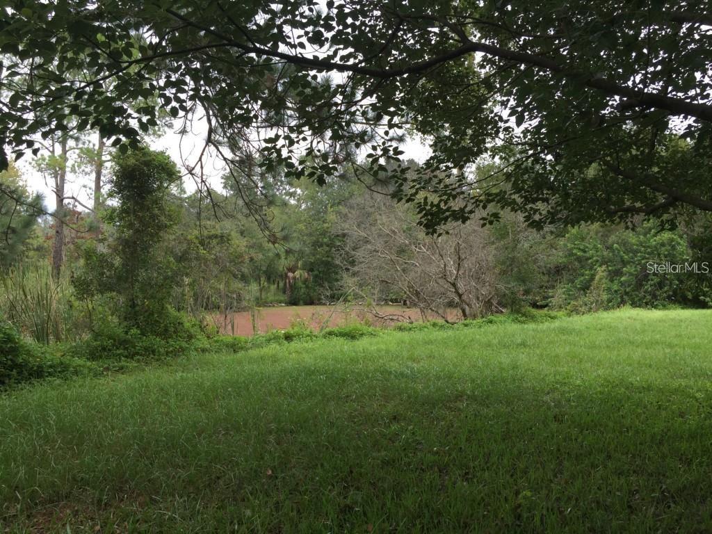 Listing photo id 6 for 6213 Orient Road