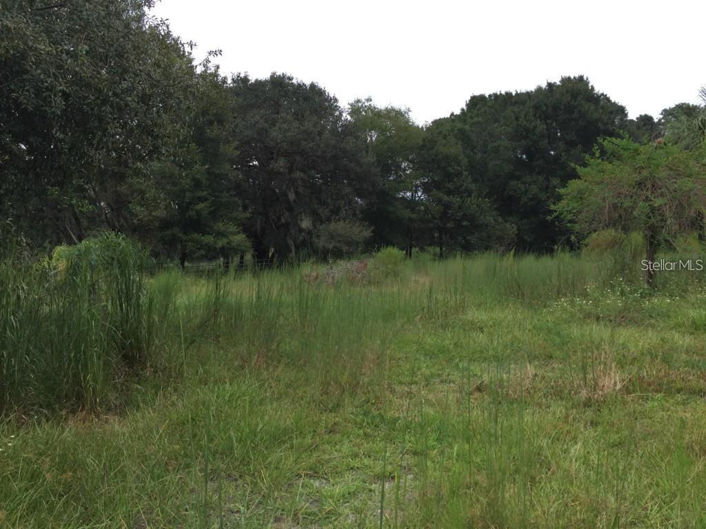 Listing photo id 7 for 6213 Orient Road