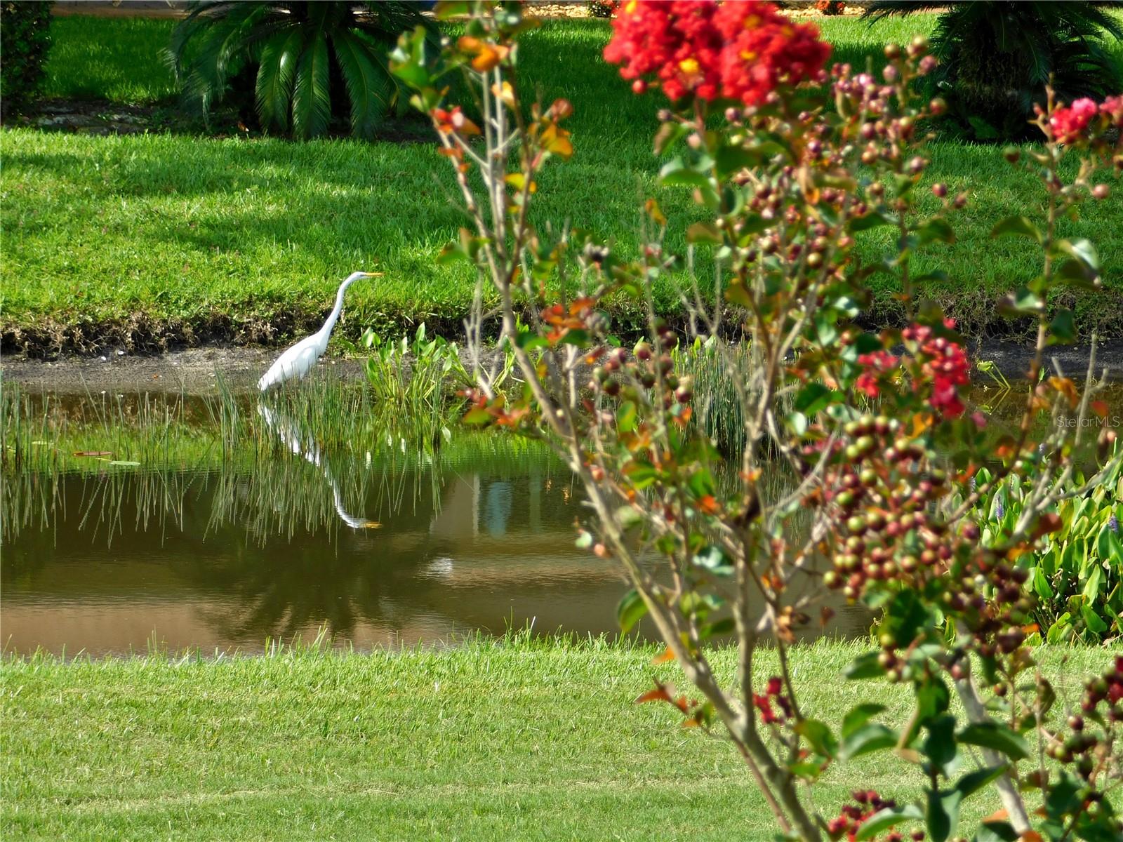 Image 5 of 51 For 11802 Aintree Court