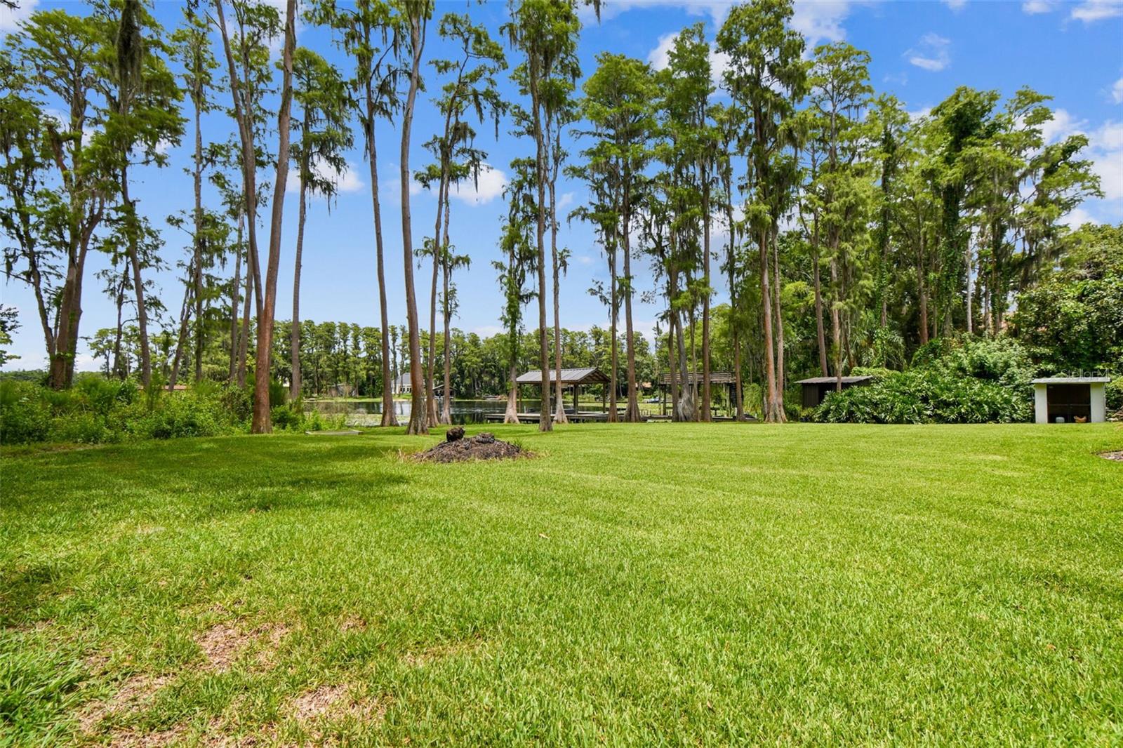 Image 62 of 76 For 515 Lutz Lake Fern Road
