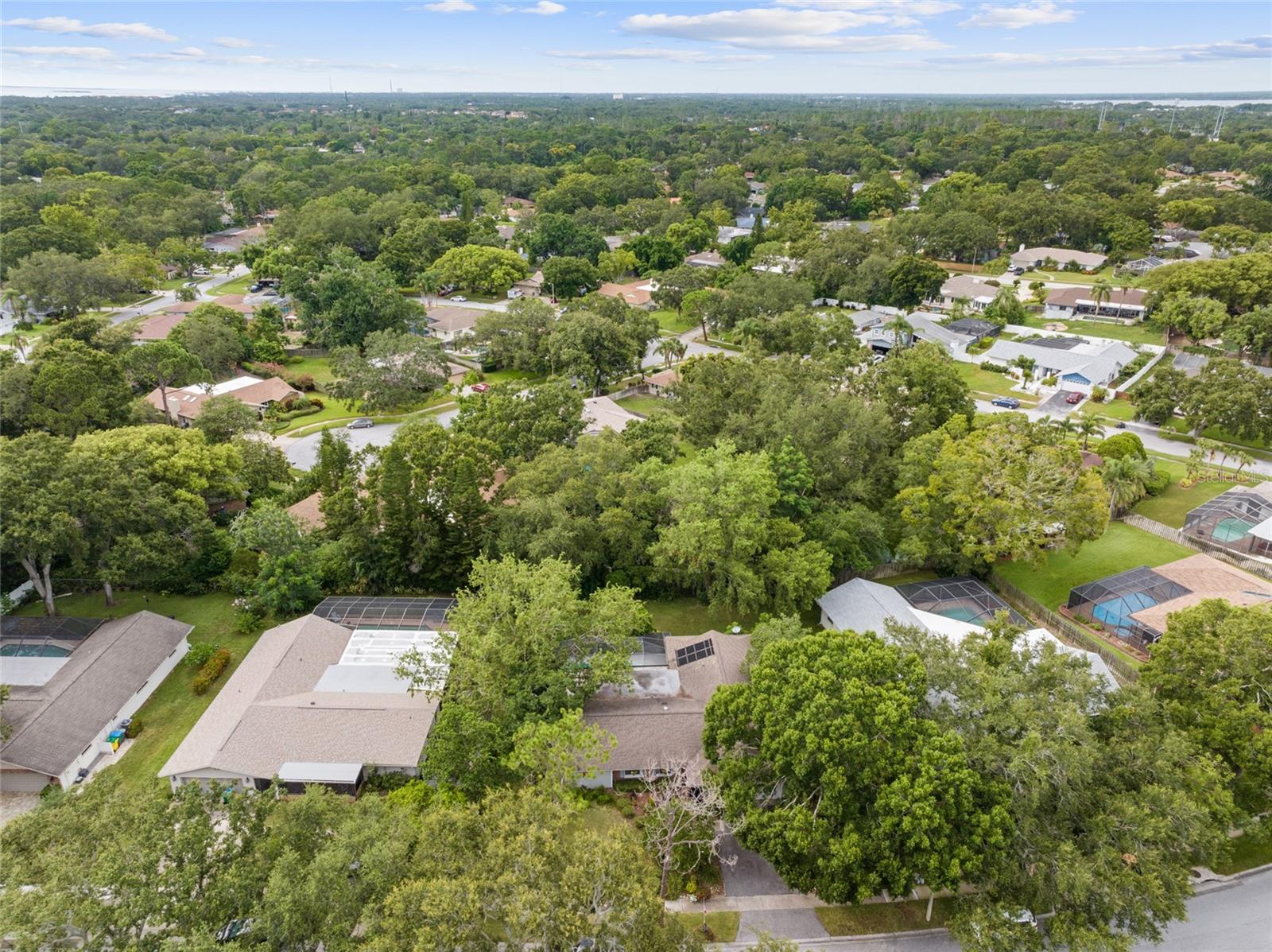 Image 41 of 45 For 155 Woodcutter Lane