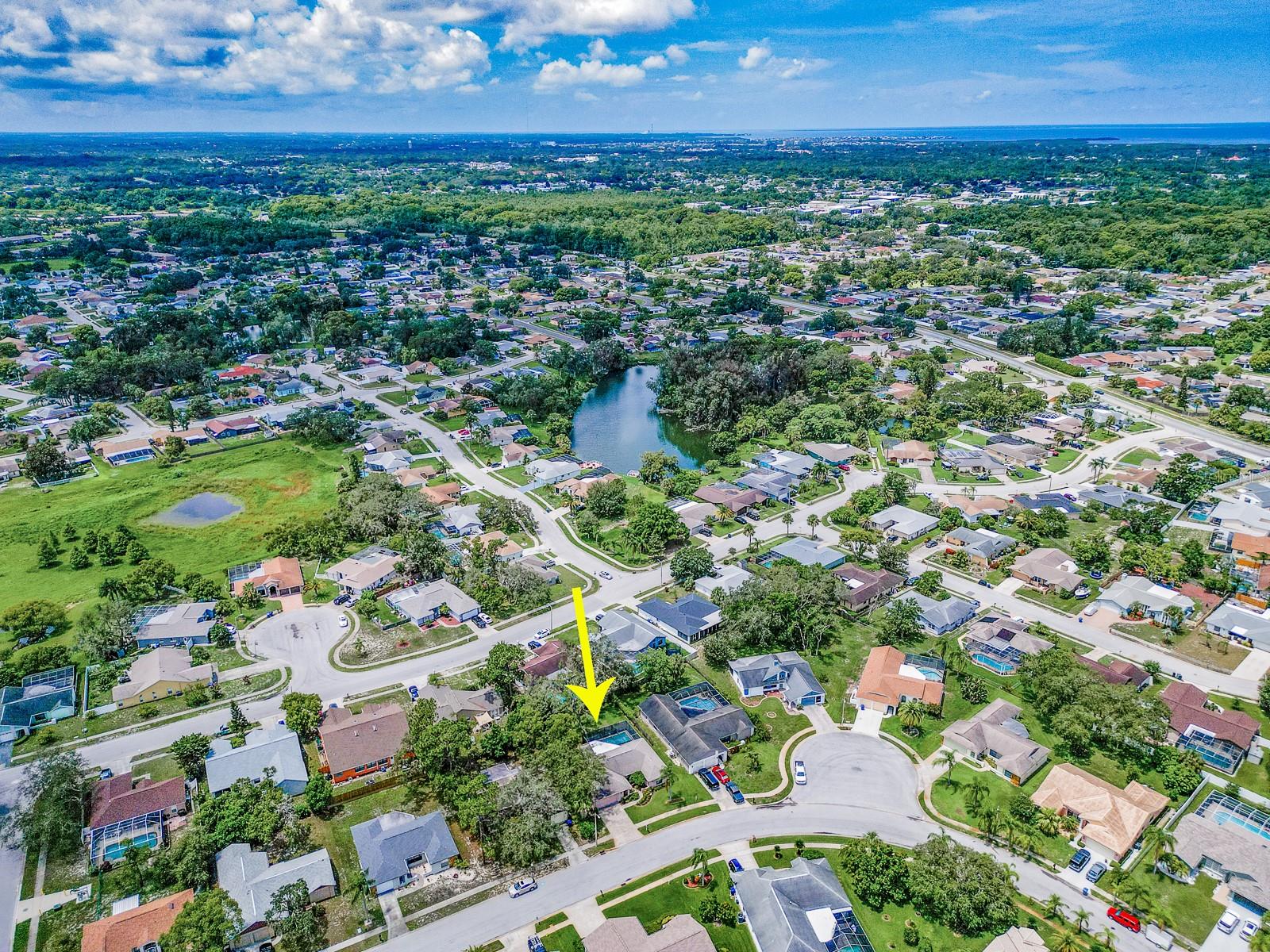 Listing photo id 37 for 7300 Dogleg Court