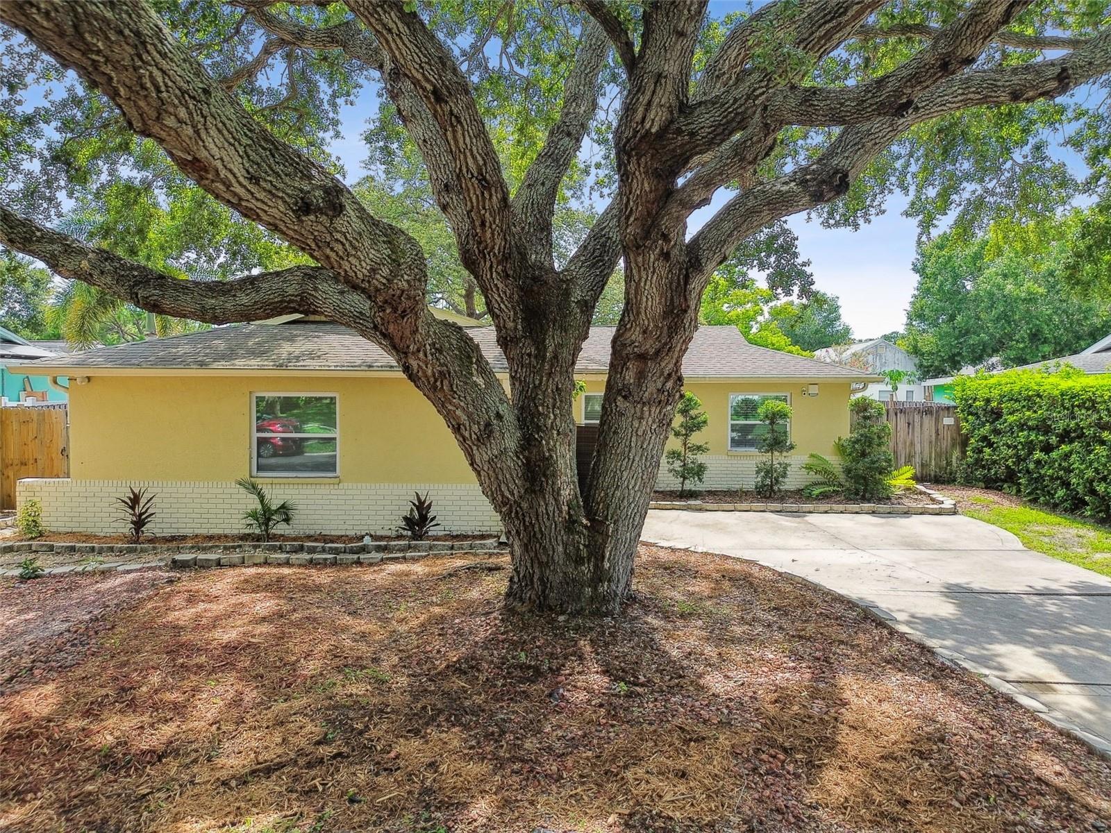 Image 56 of 69 For 604 Limetree Drive