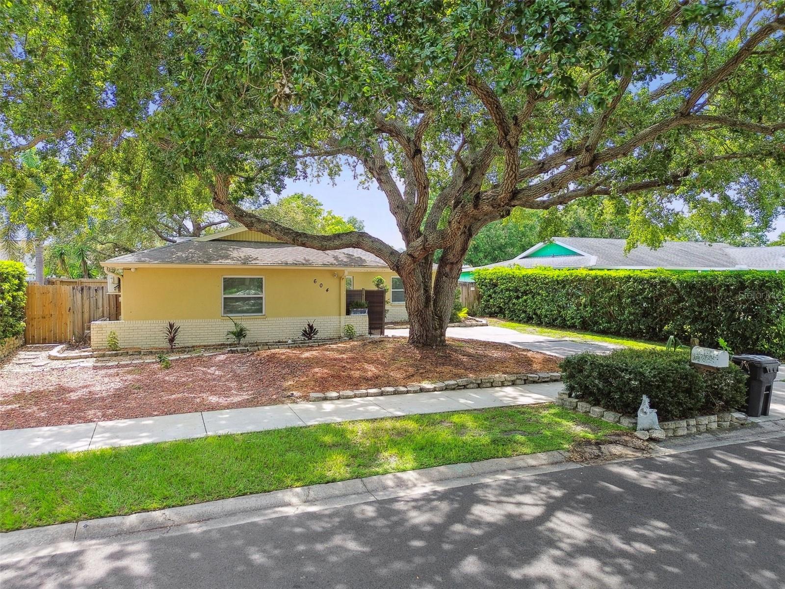 Image 59 of 69 For 604 Limetree Drive