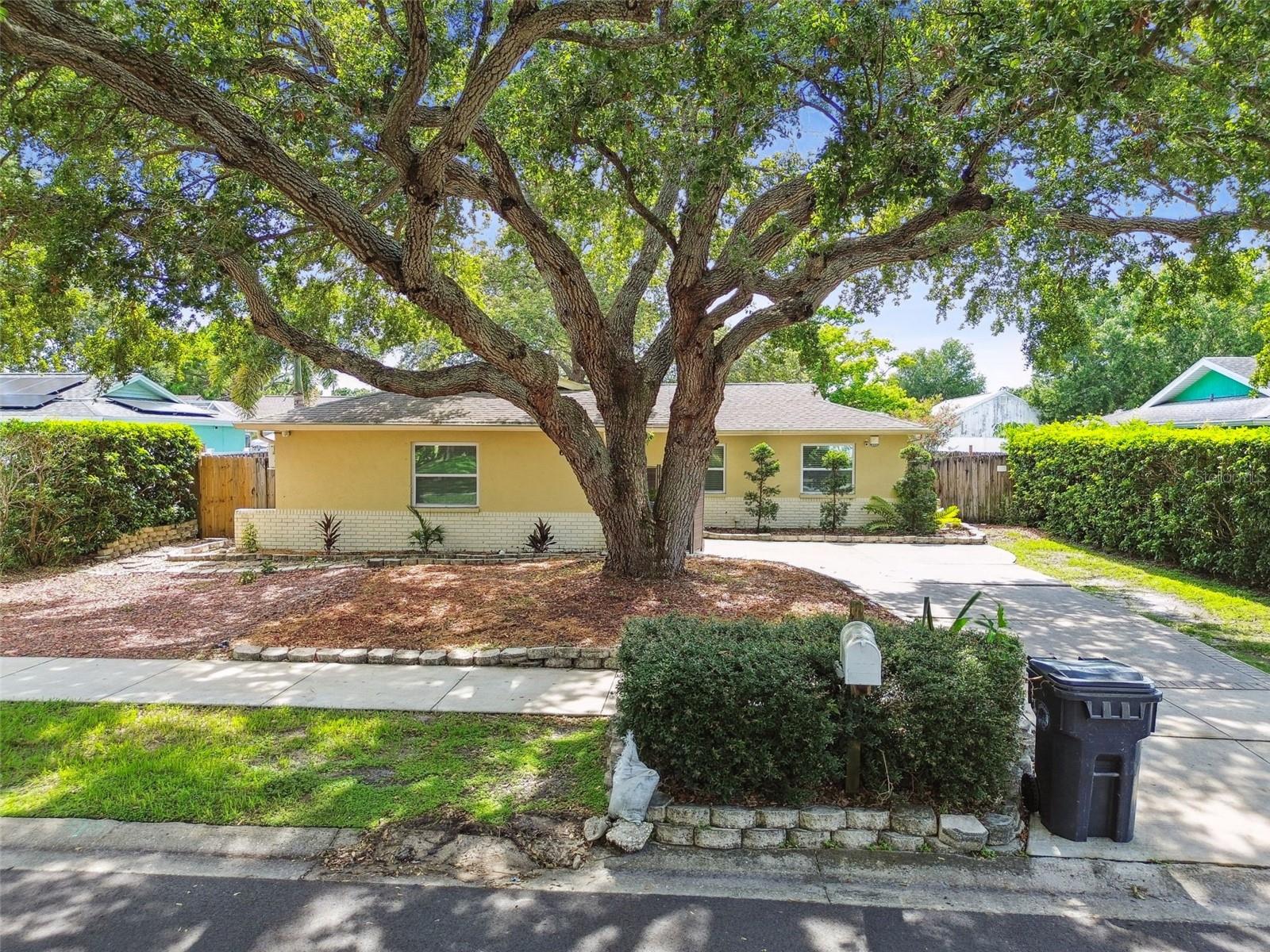 Image 60 of 69 For 604 Limetree Drive