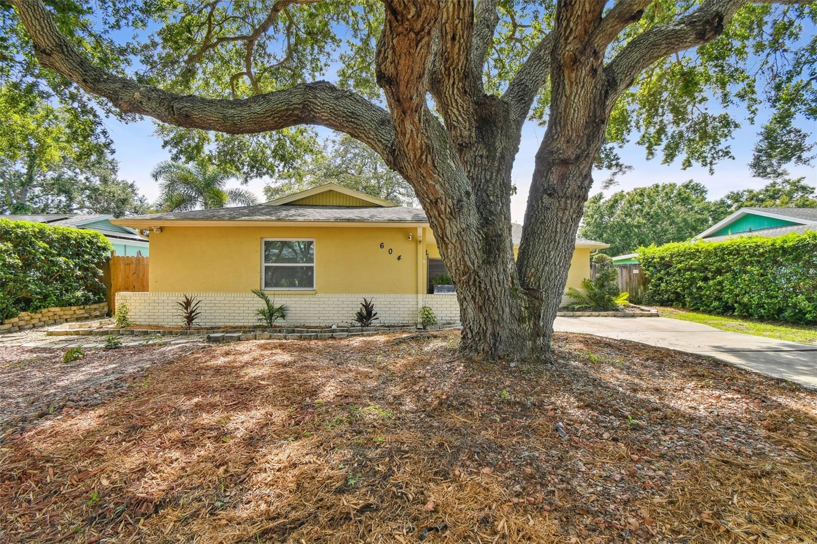 Image 66 of 69 For 604 Limetree Drive