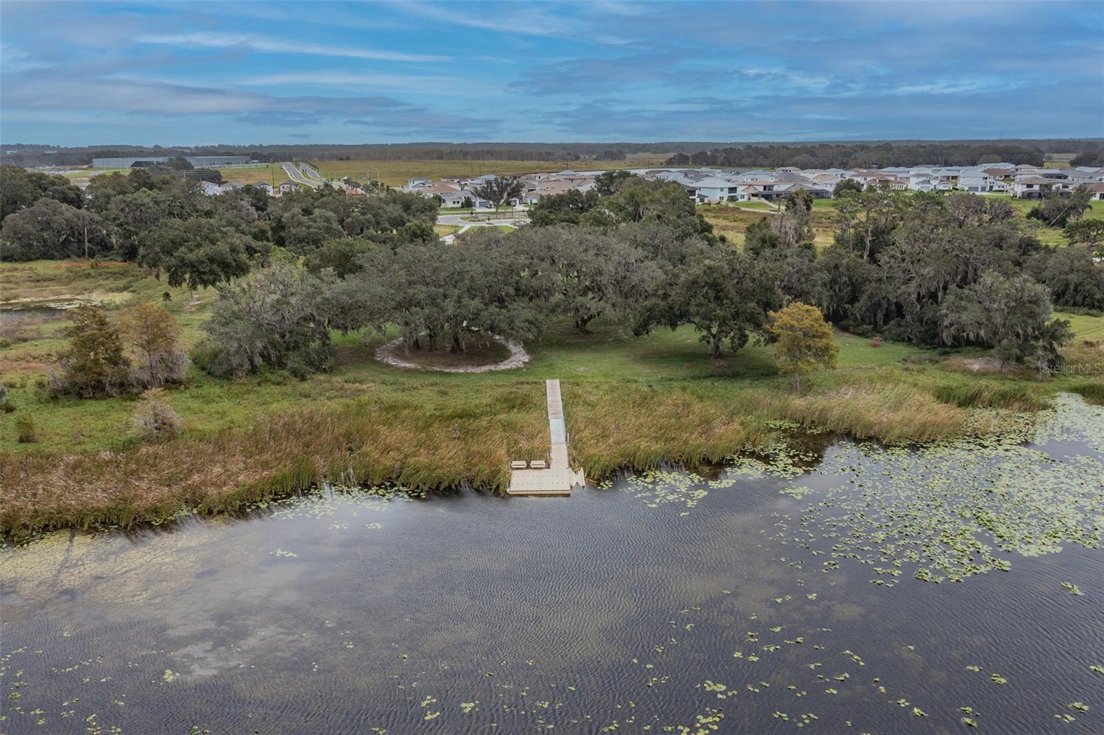 Listing photo id 89 for 31542 Tansy Bend