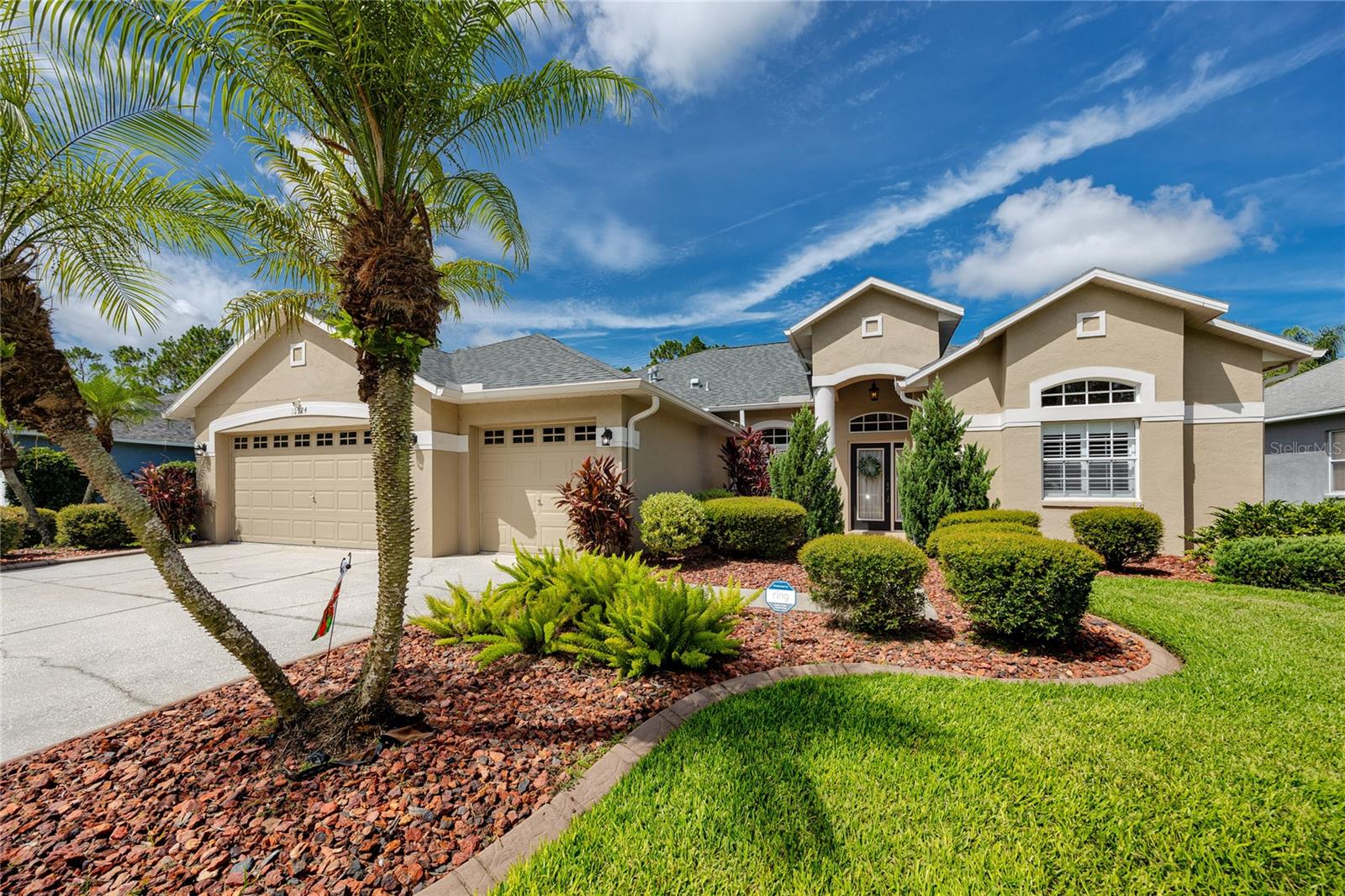 Details for 12524 Leatherleaf Drive, TAMPA, FL 33626