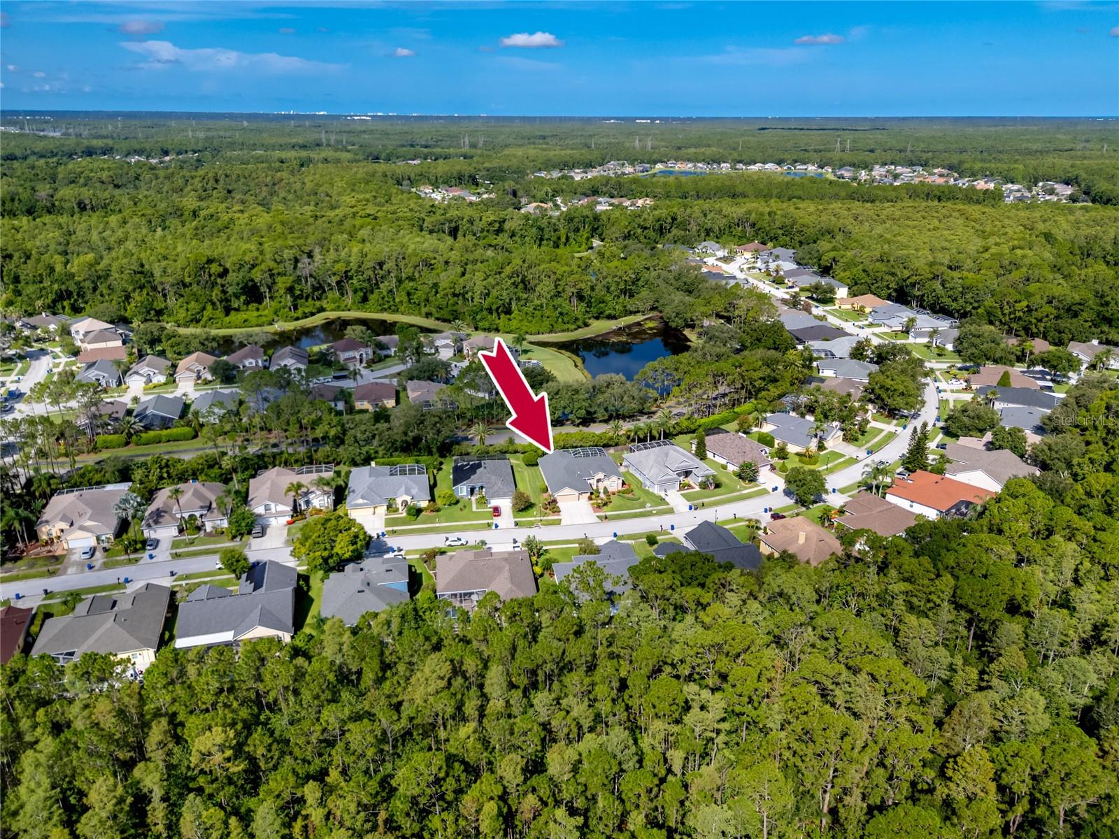 Image 51 of 54 For 12524 Leatherleaf Drive