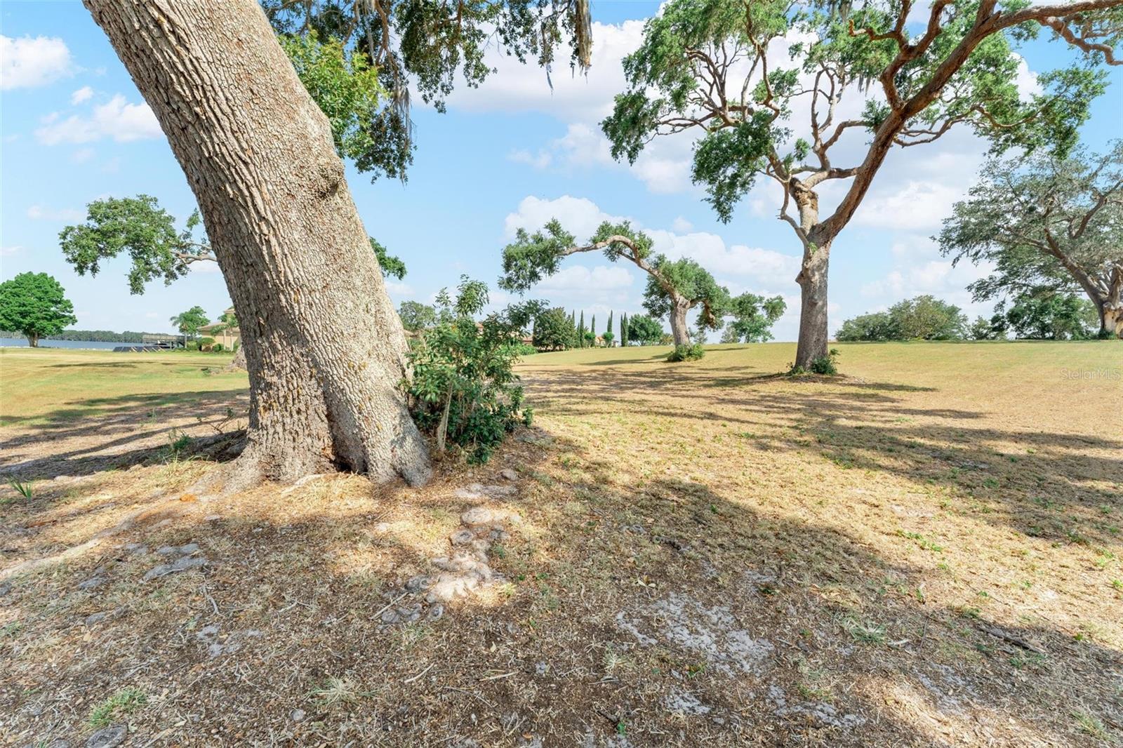 Image 23 of 82 For Lot 29 Stonelake Ranch Blvd