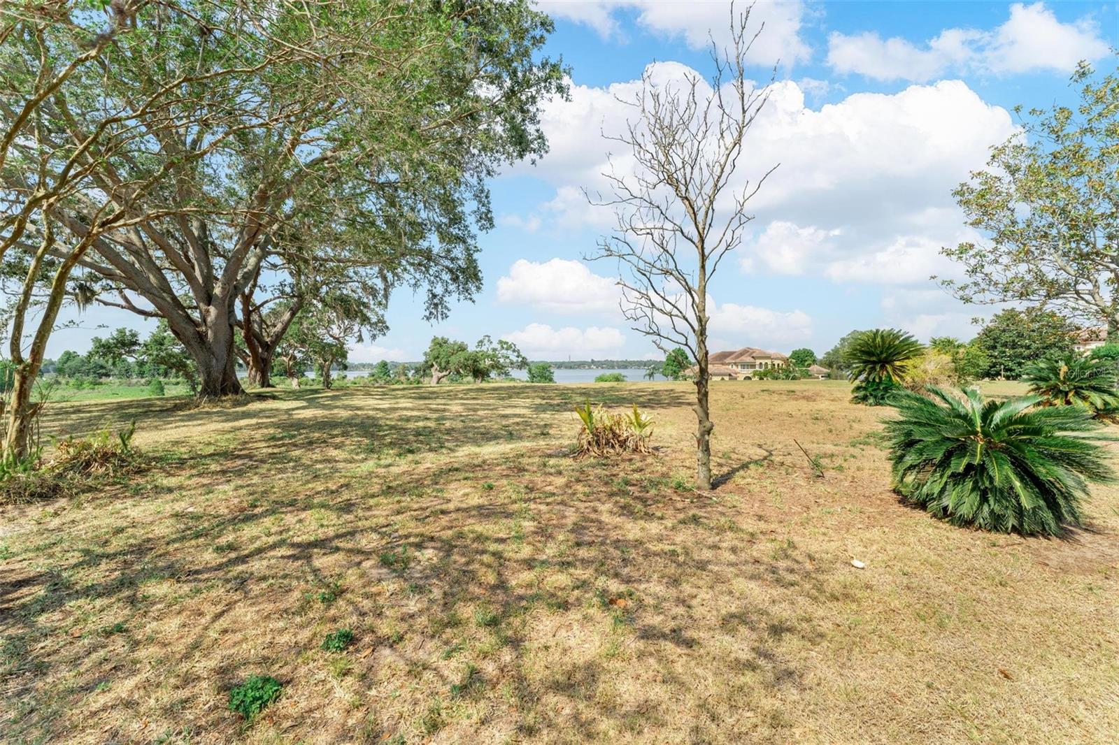 Image 37 of 82 For Lot 29 Stonelake Ranch Blvd