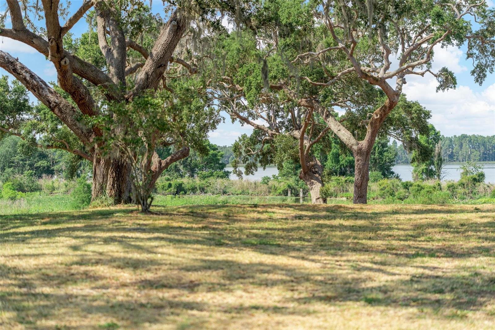 Image 45 of 82 For Lot 29 Stonelake Ranch Blvd