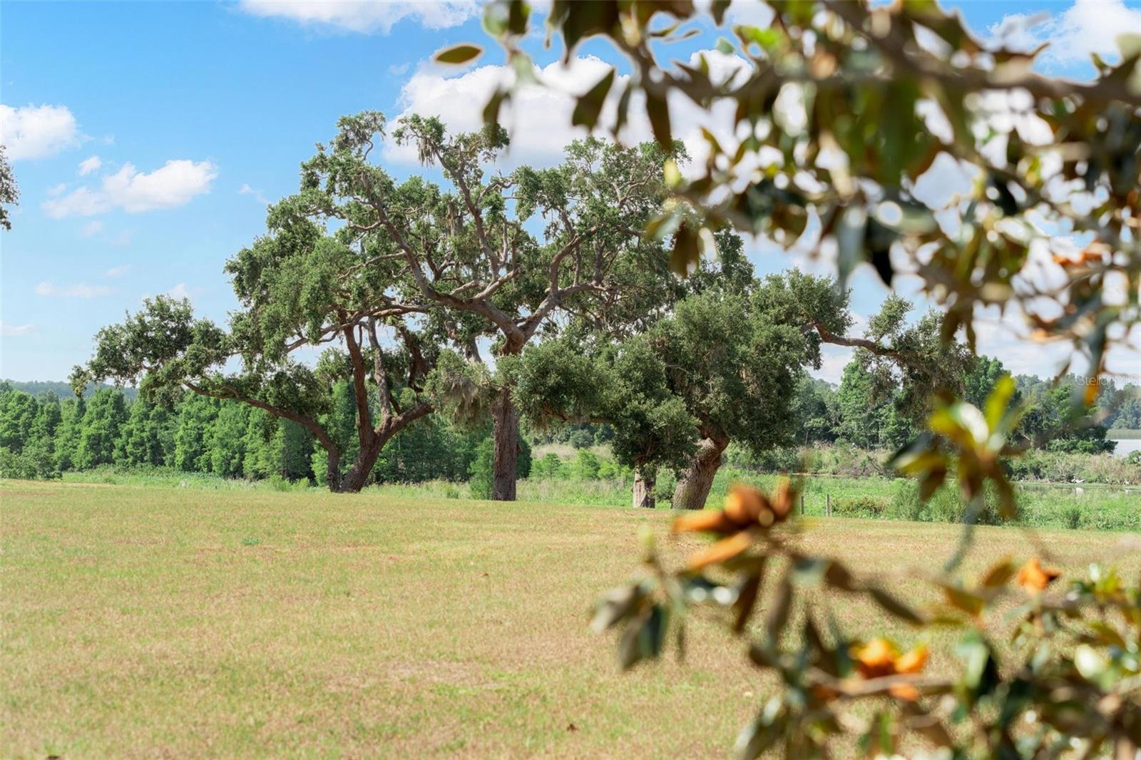 Image 48 of 82 For Lot 29 Stonelake Ranch Blvd