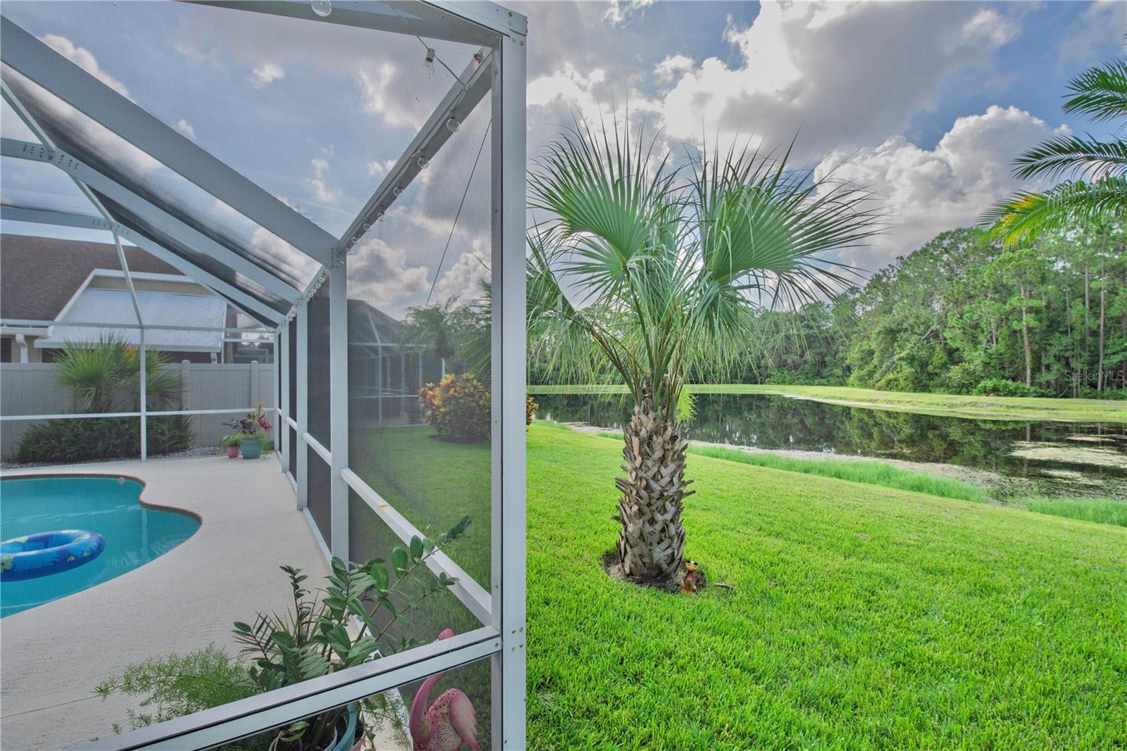 Listing photo id 49 for 12119 Bishopsford Drive