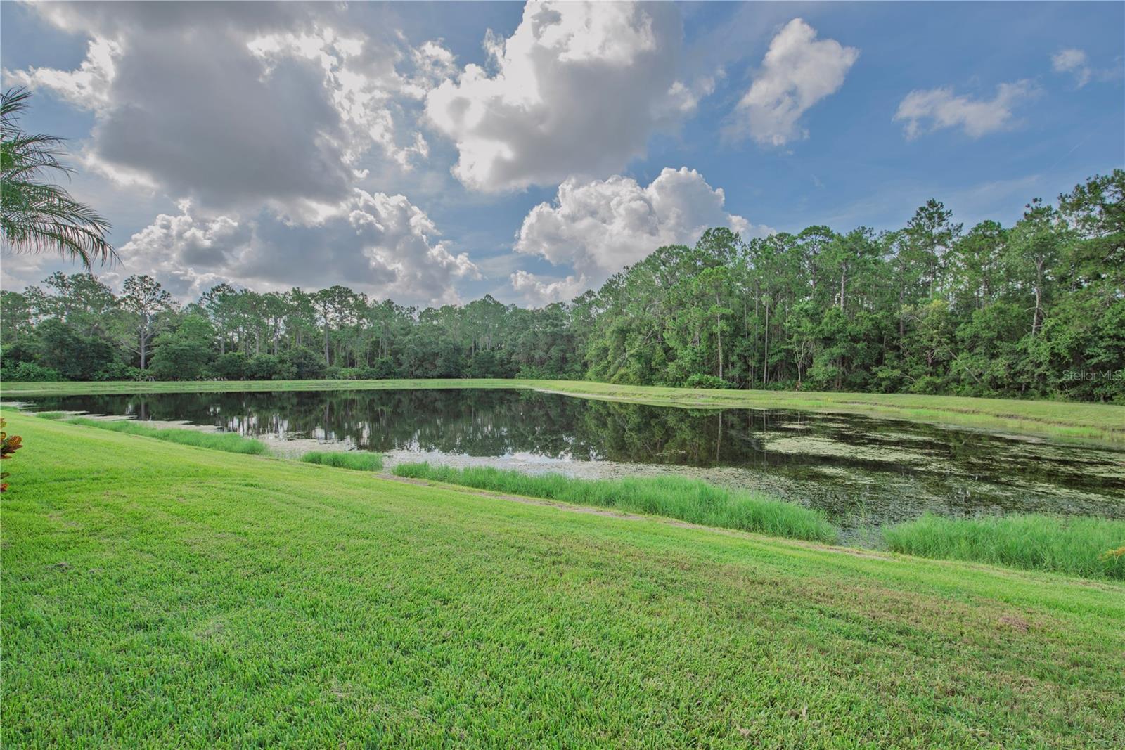 Listing photo id 50 for 12119 Bishopsford Drive